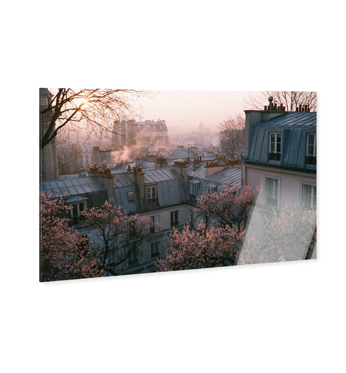Blossom Framed Paris IV