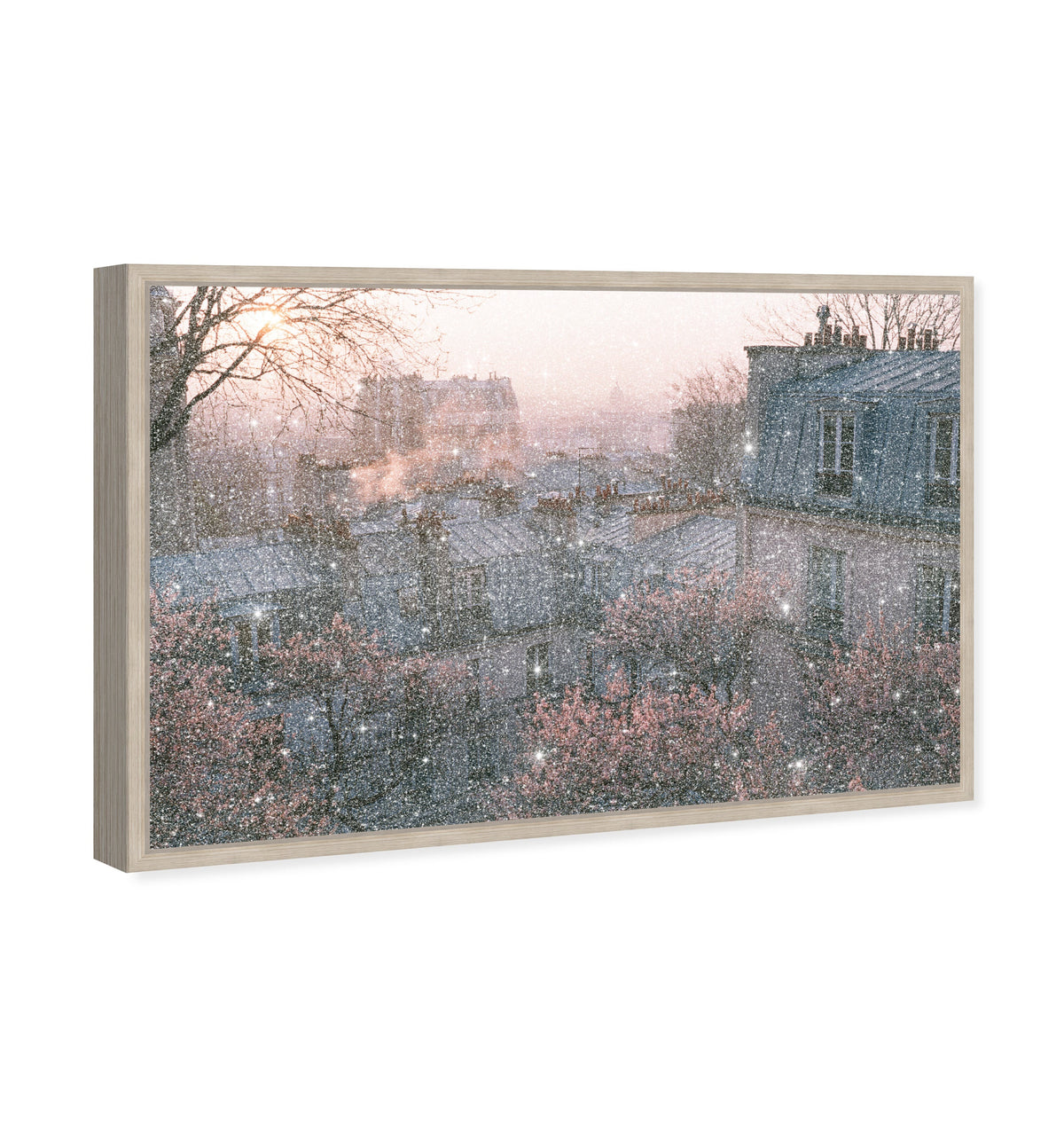 Blossom Framed Paris IV