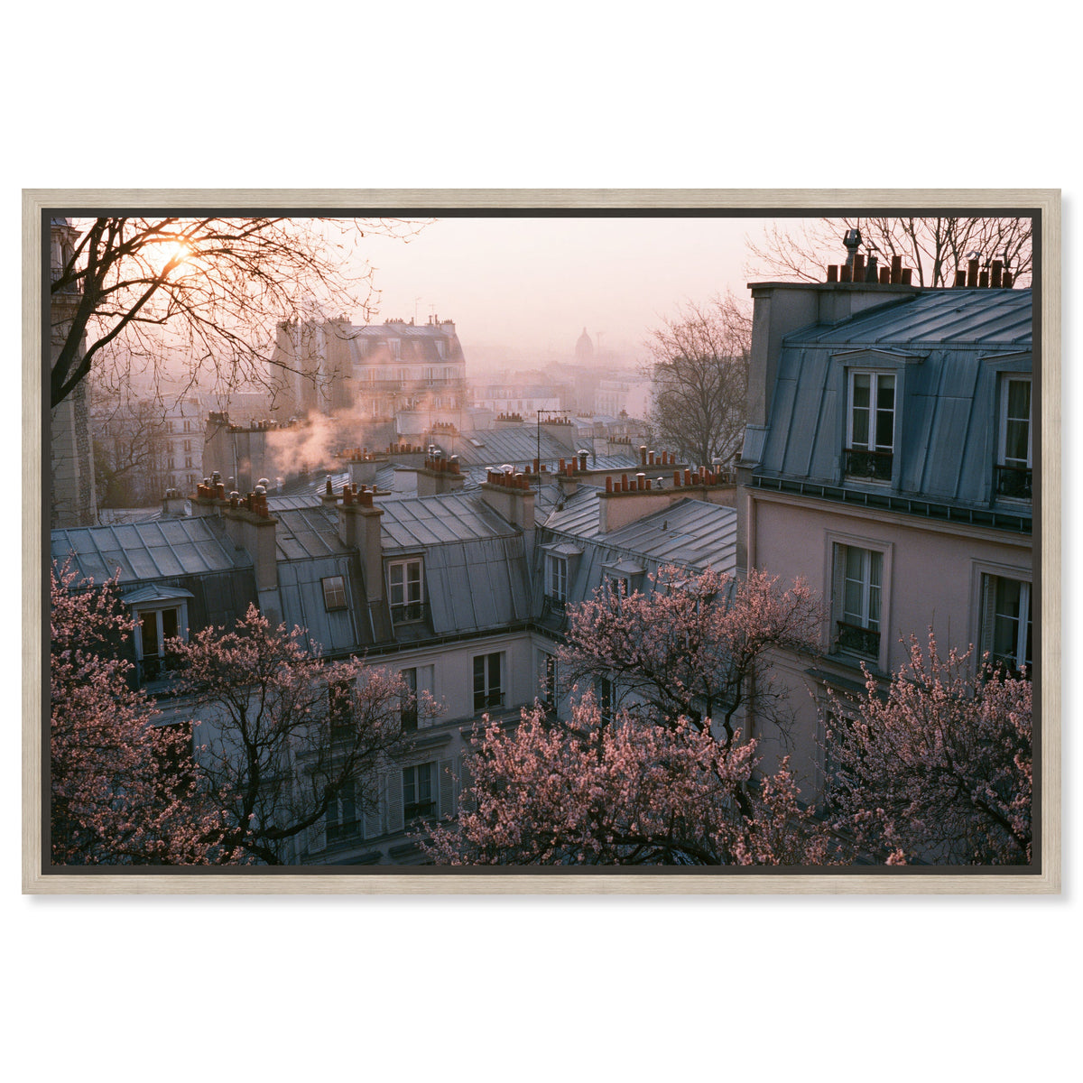 Blossom Framed Paris IV