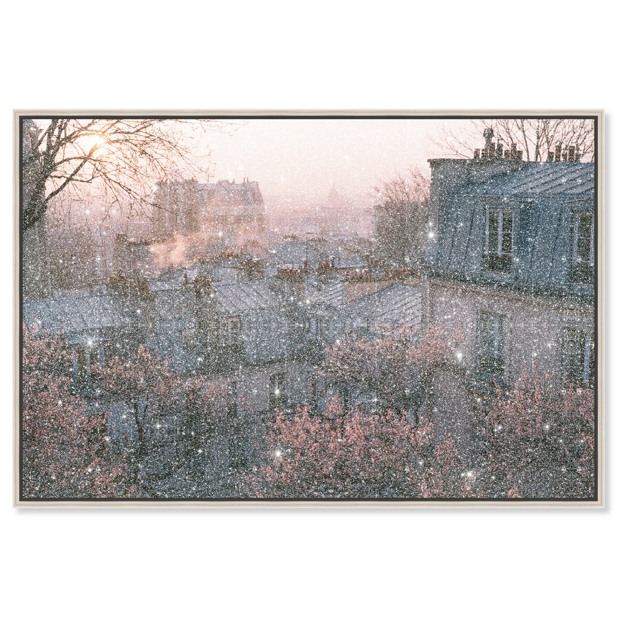 Blossom Framed Paris IV