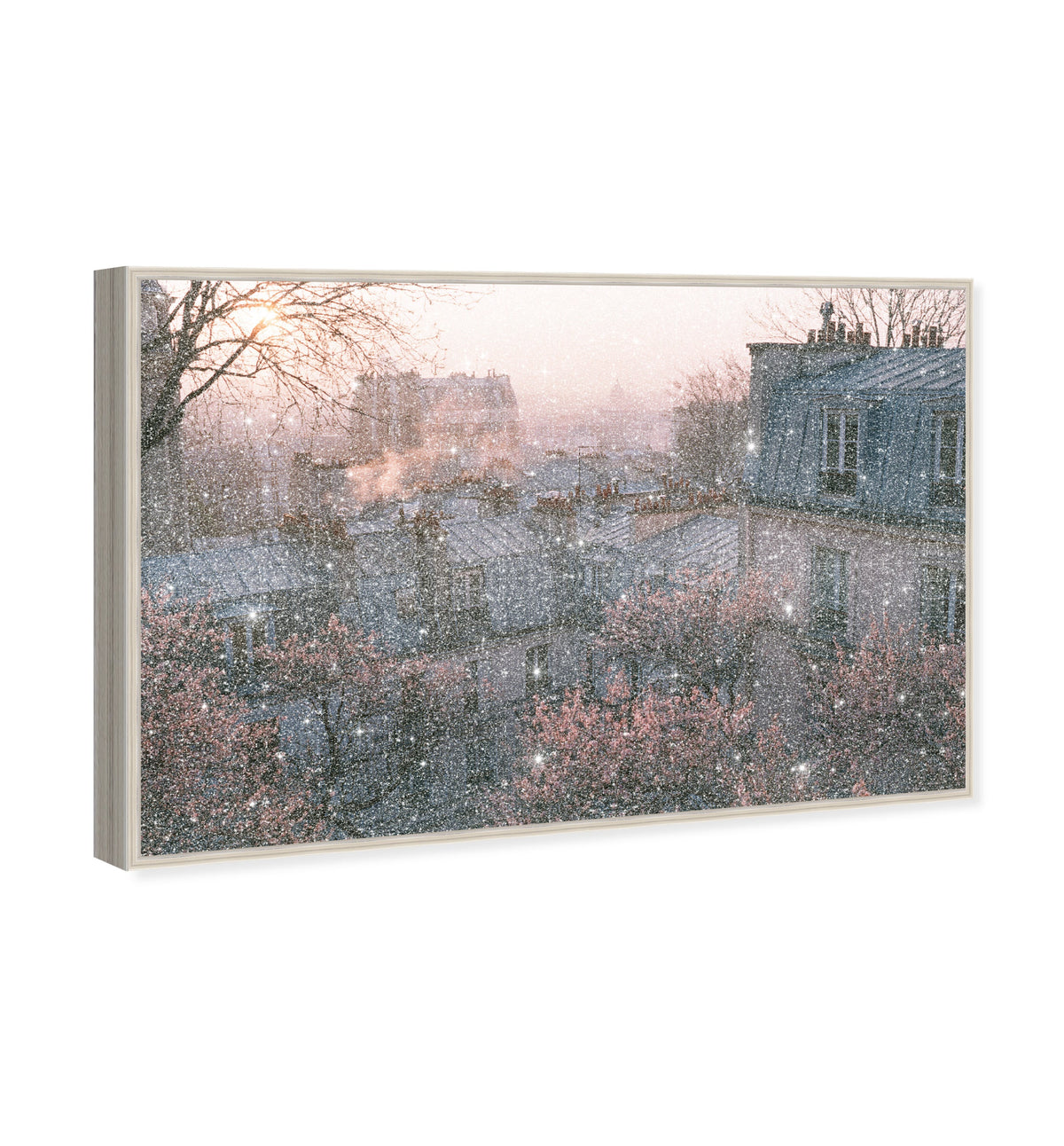Blossom Framed Paris IV