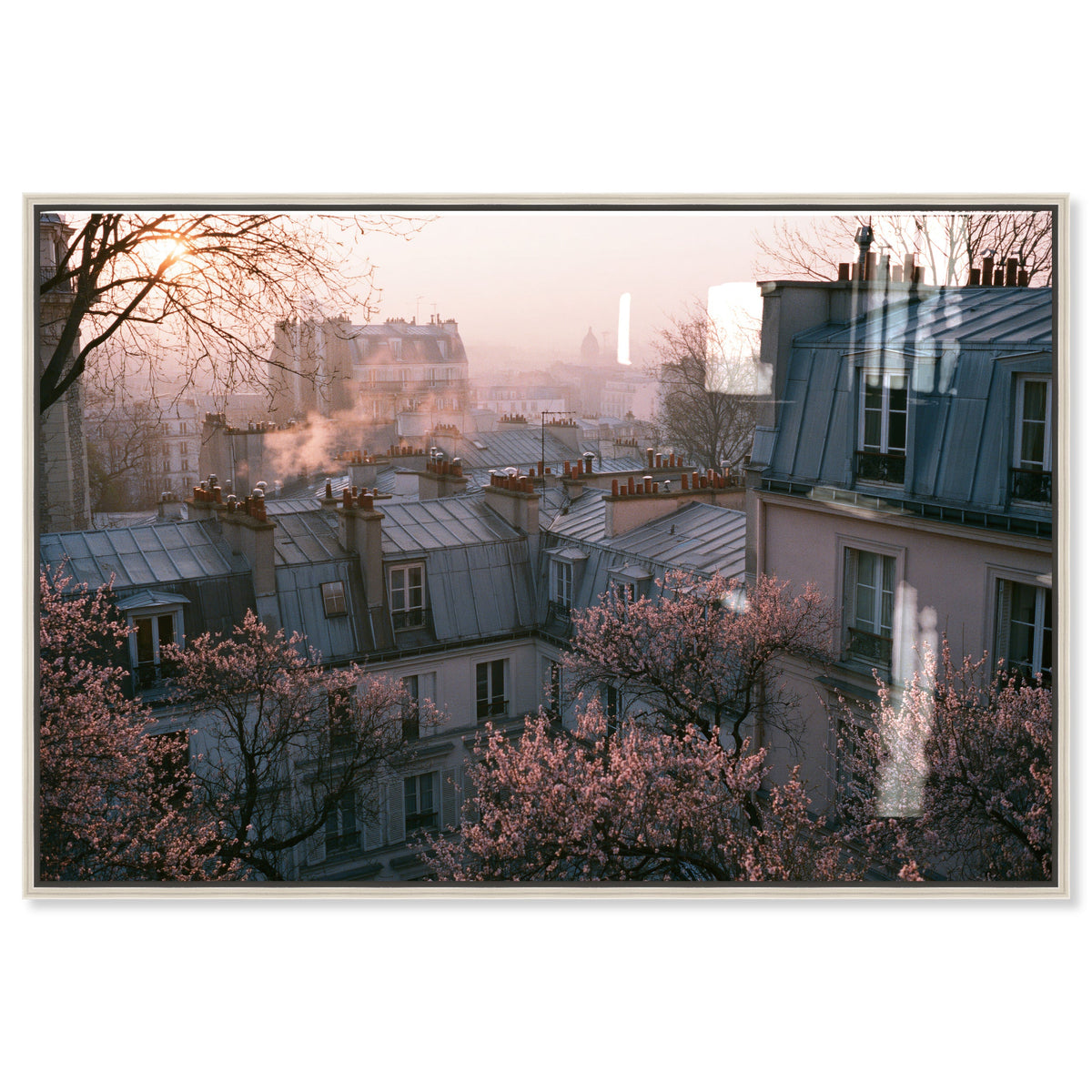 Blossom Framed Paris IV