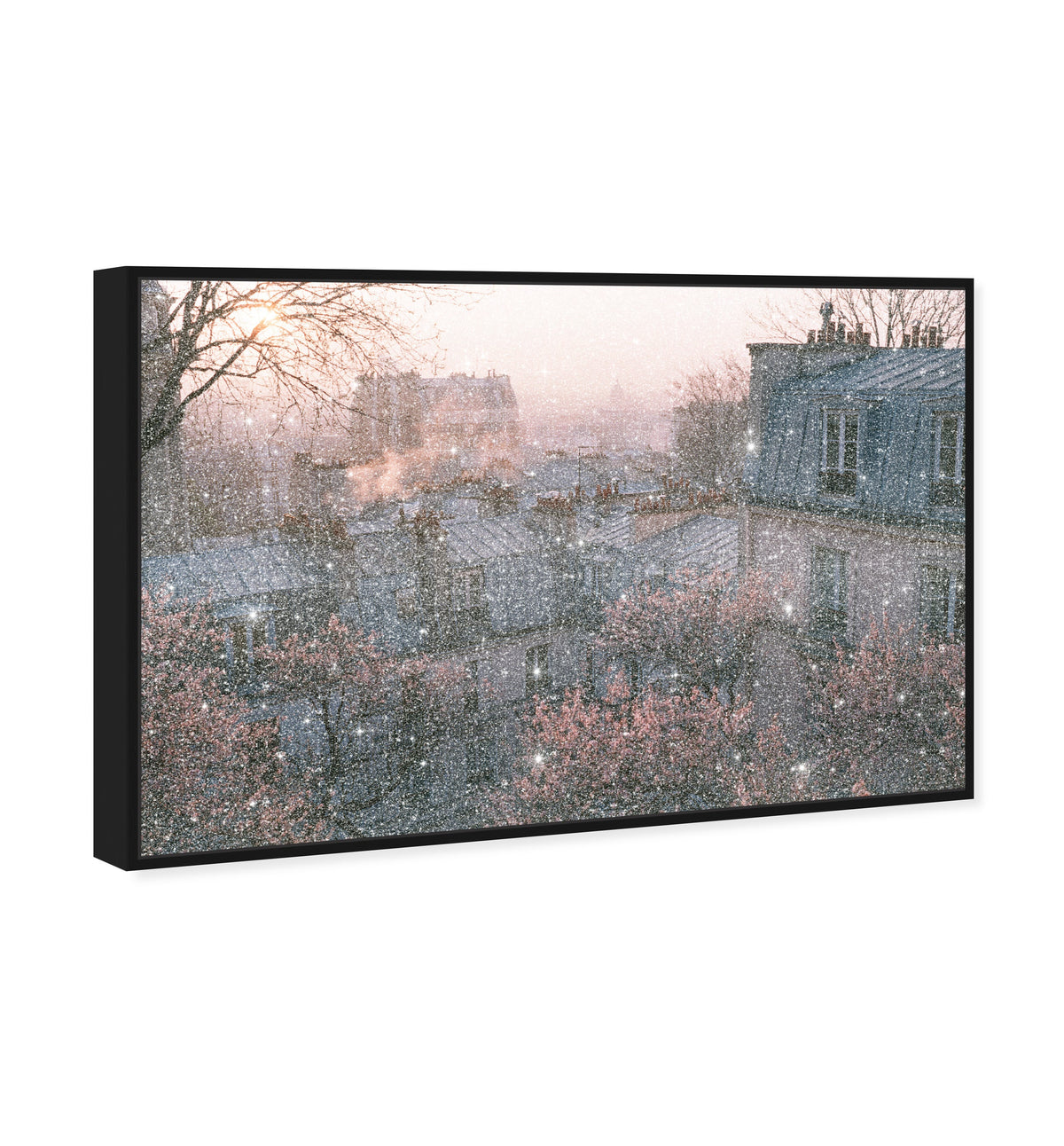 Blossom Framed Paris IV
