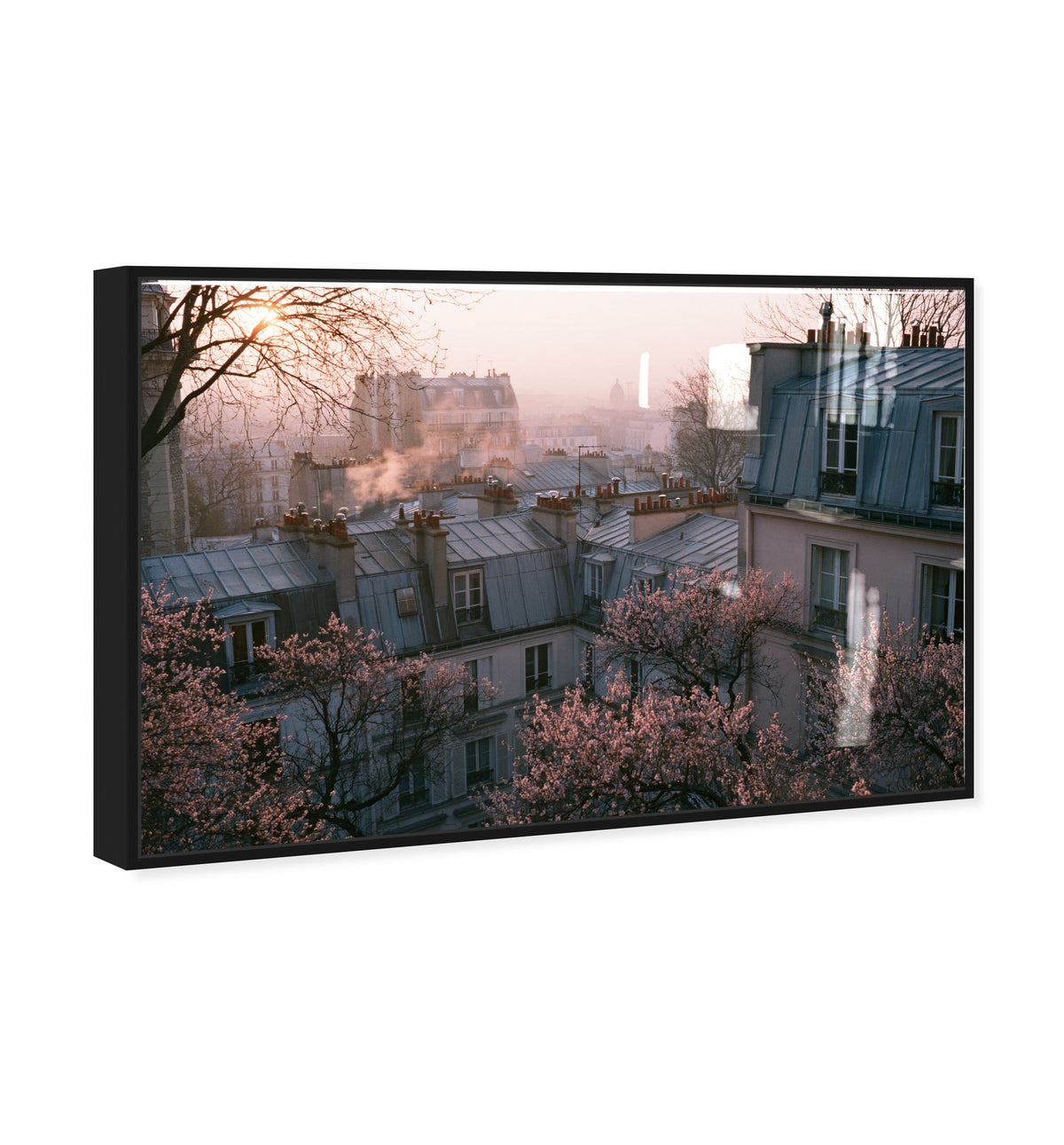 Blossom Framed Paris IV