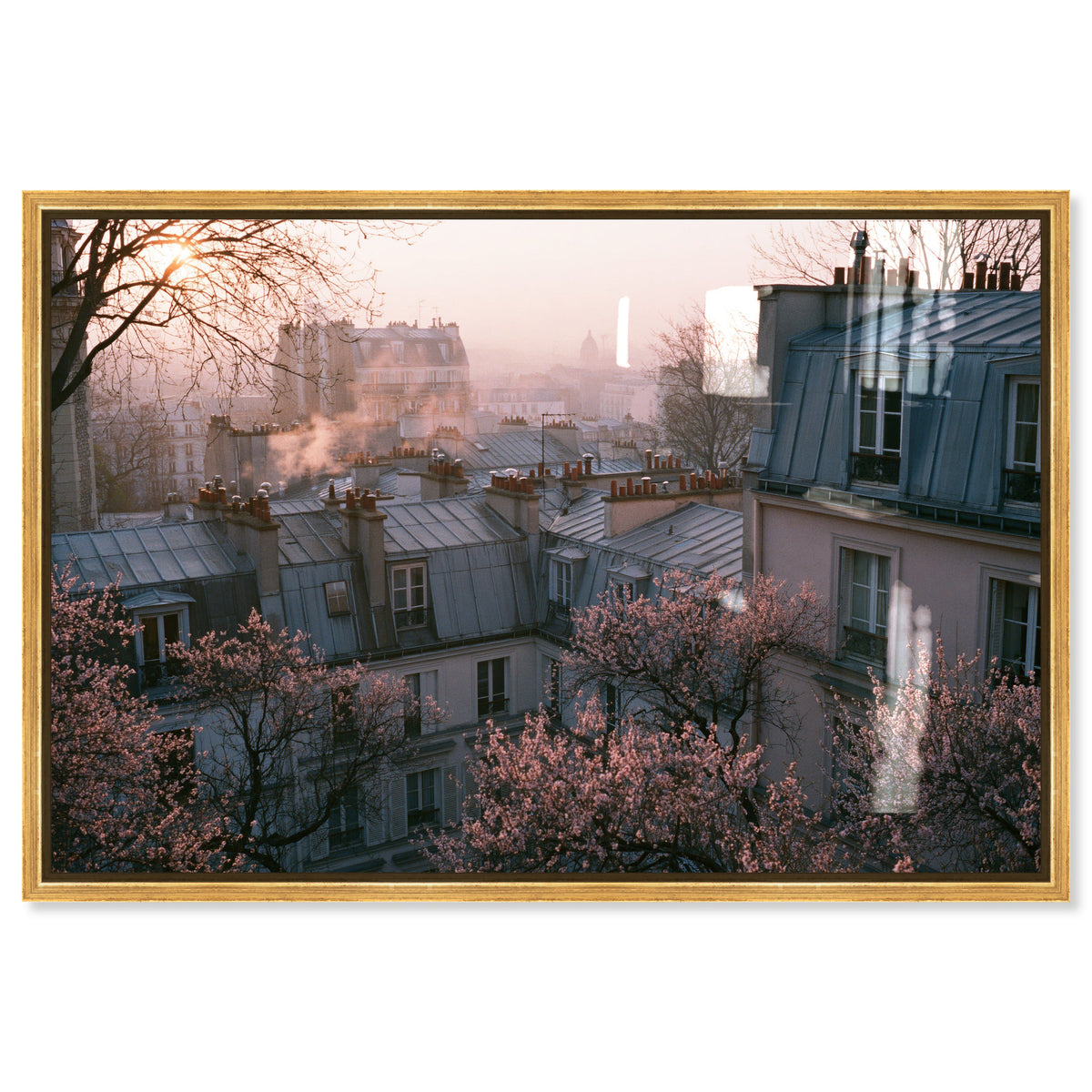 Blossom Framed Paris IV
