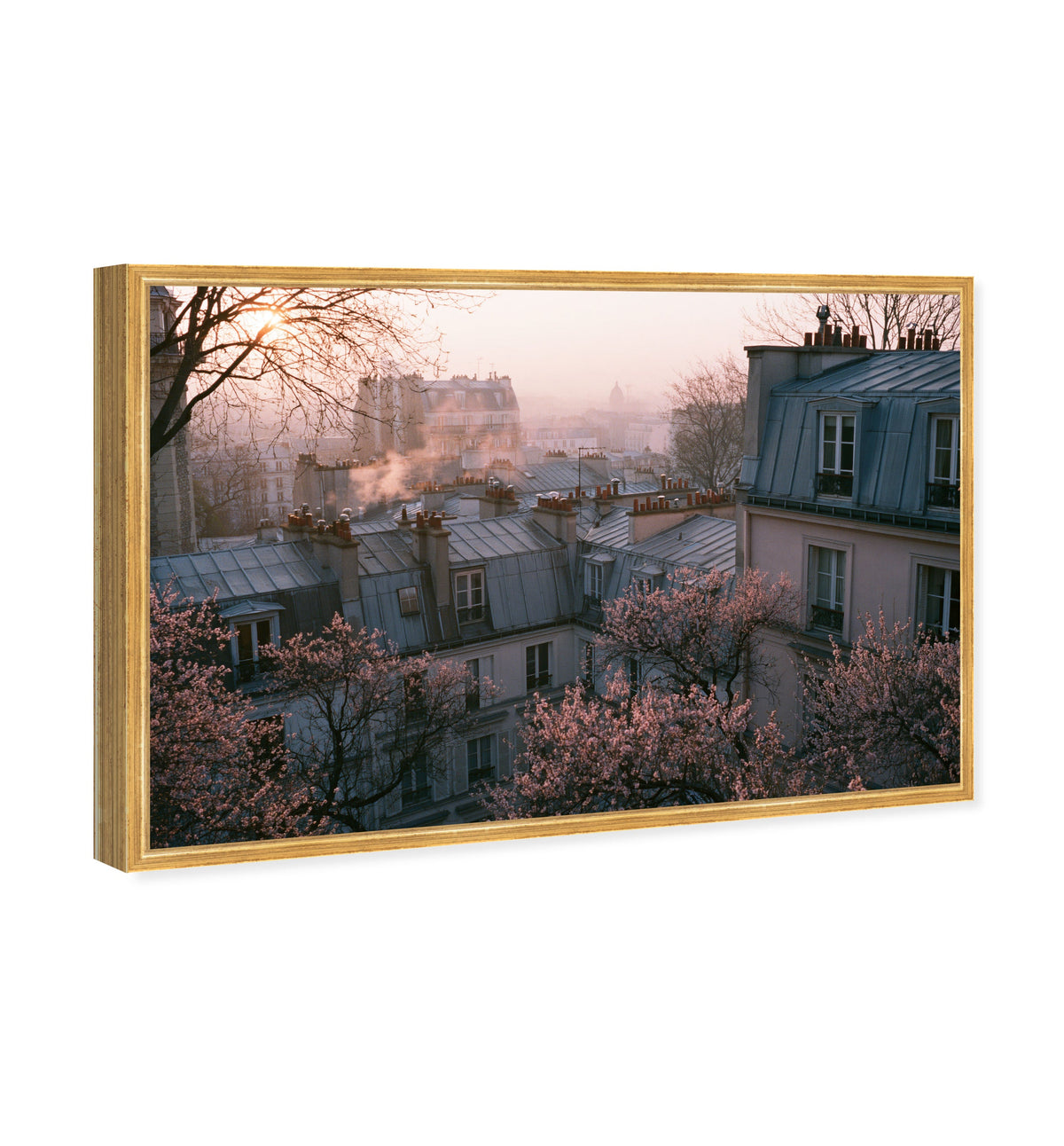 Blossom Framed Paris IV