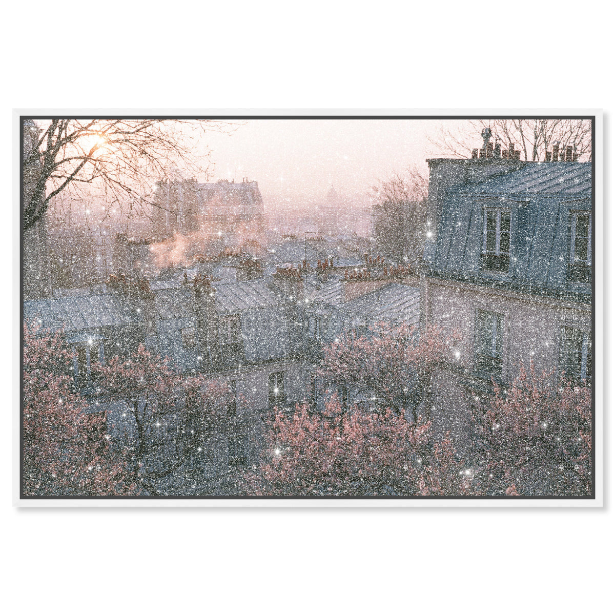 Blossom Framed Paris IV