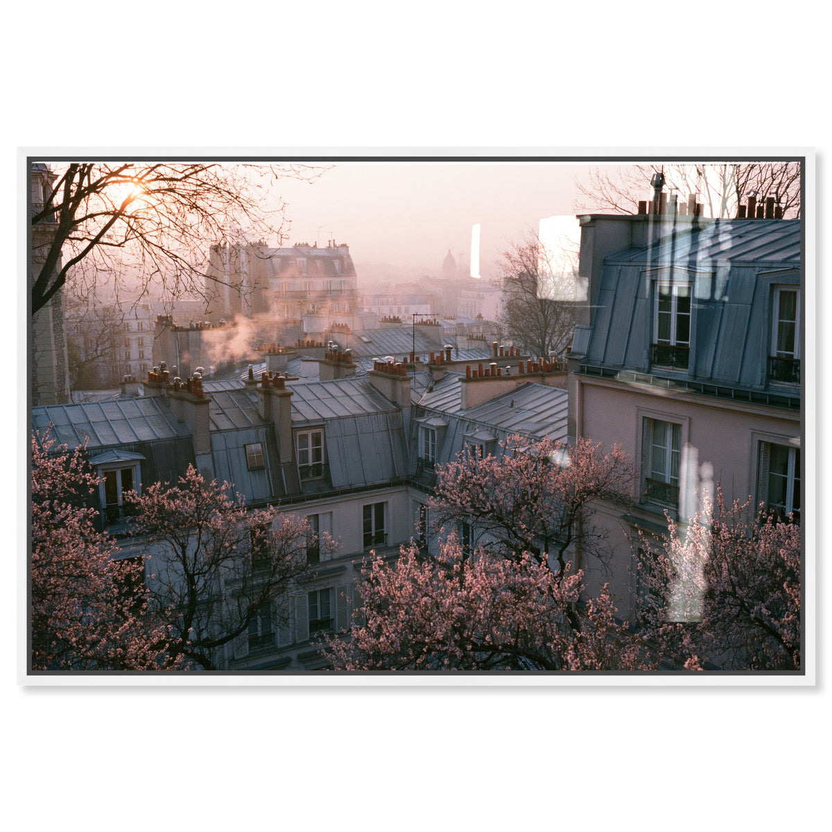 Blossom Framed Paris IV