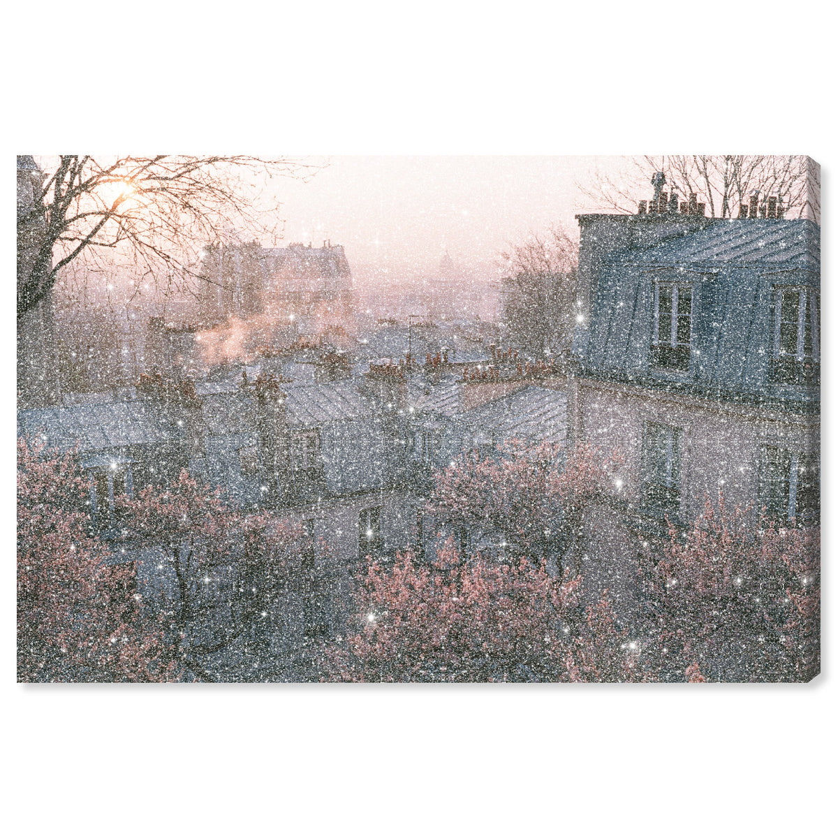 Blossom Framed Paris IV