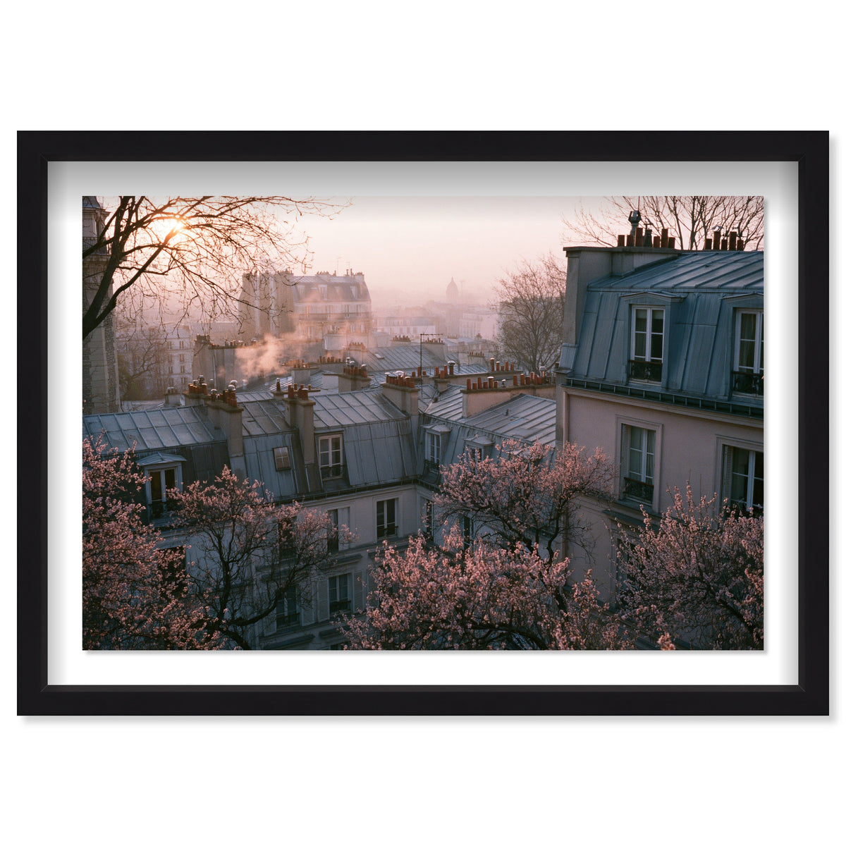 Blossom Framed Paris IV