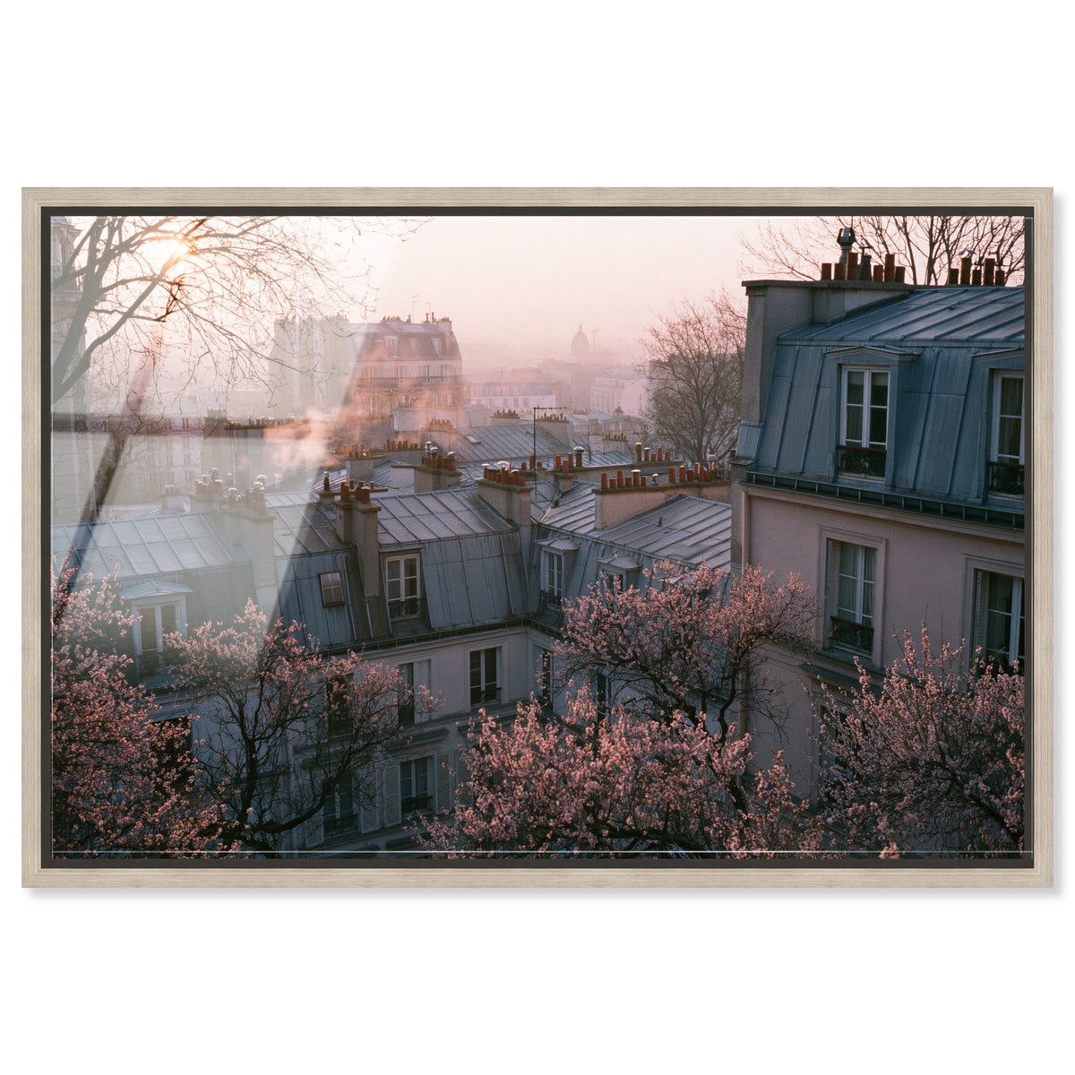 Blossom Framed Paris IV