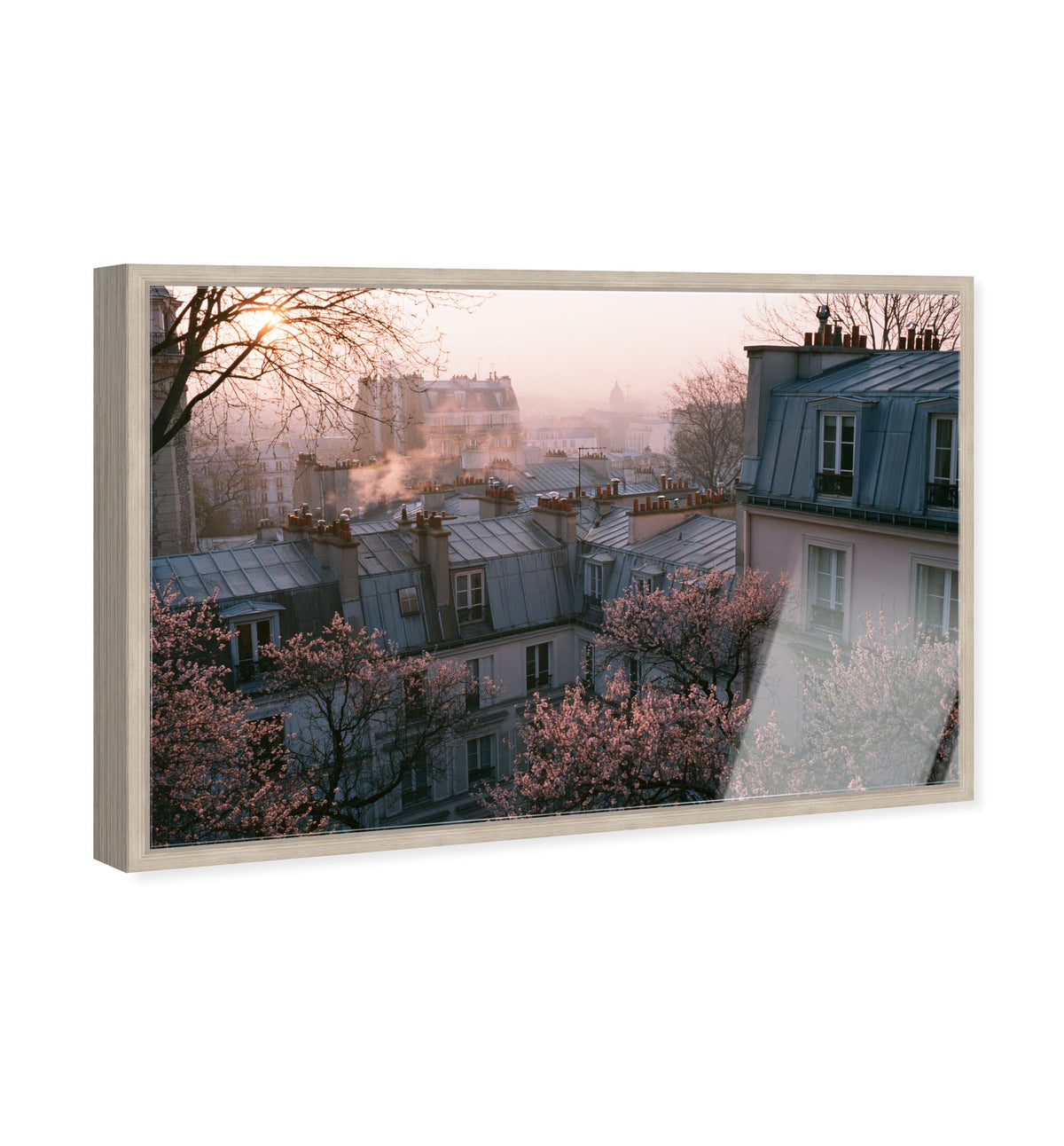 Blossom Framed Paris IV