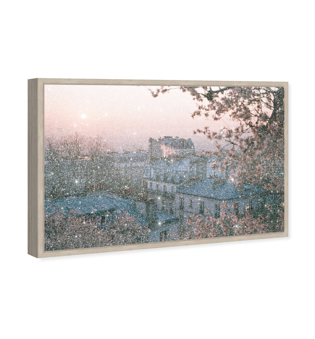 Blossom Framed Paris III