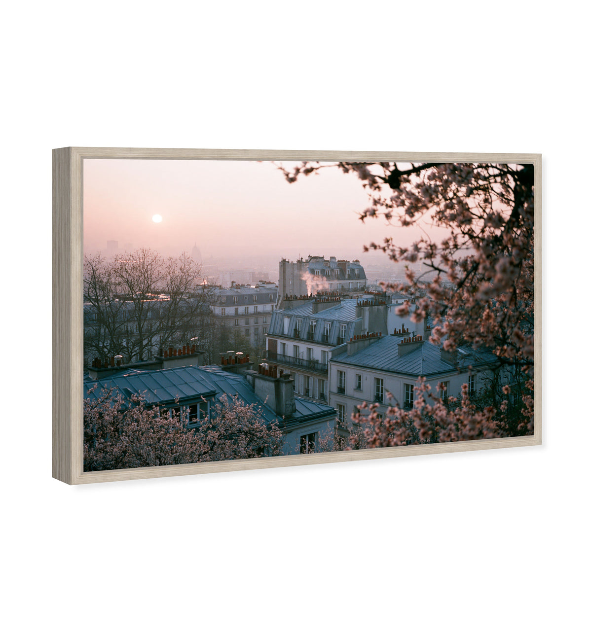 Blossom Framed Paris III