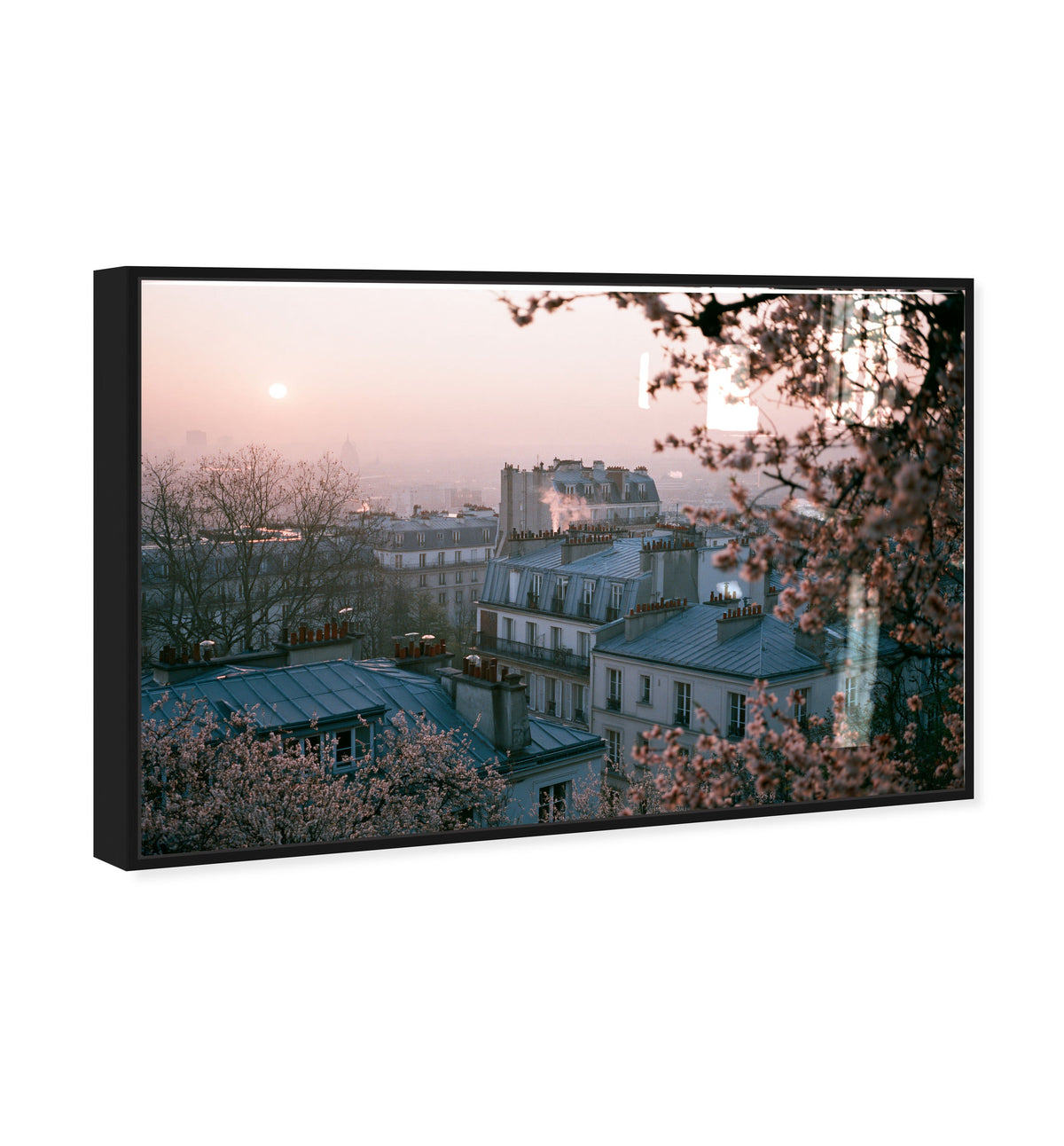 Blossom Framed Paris III