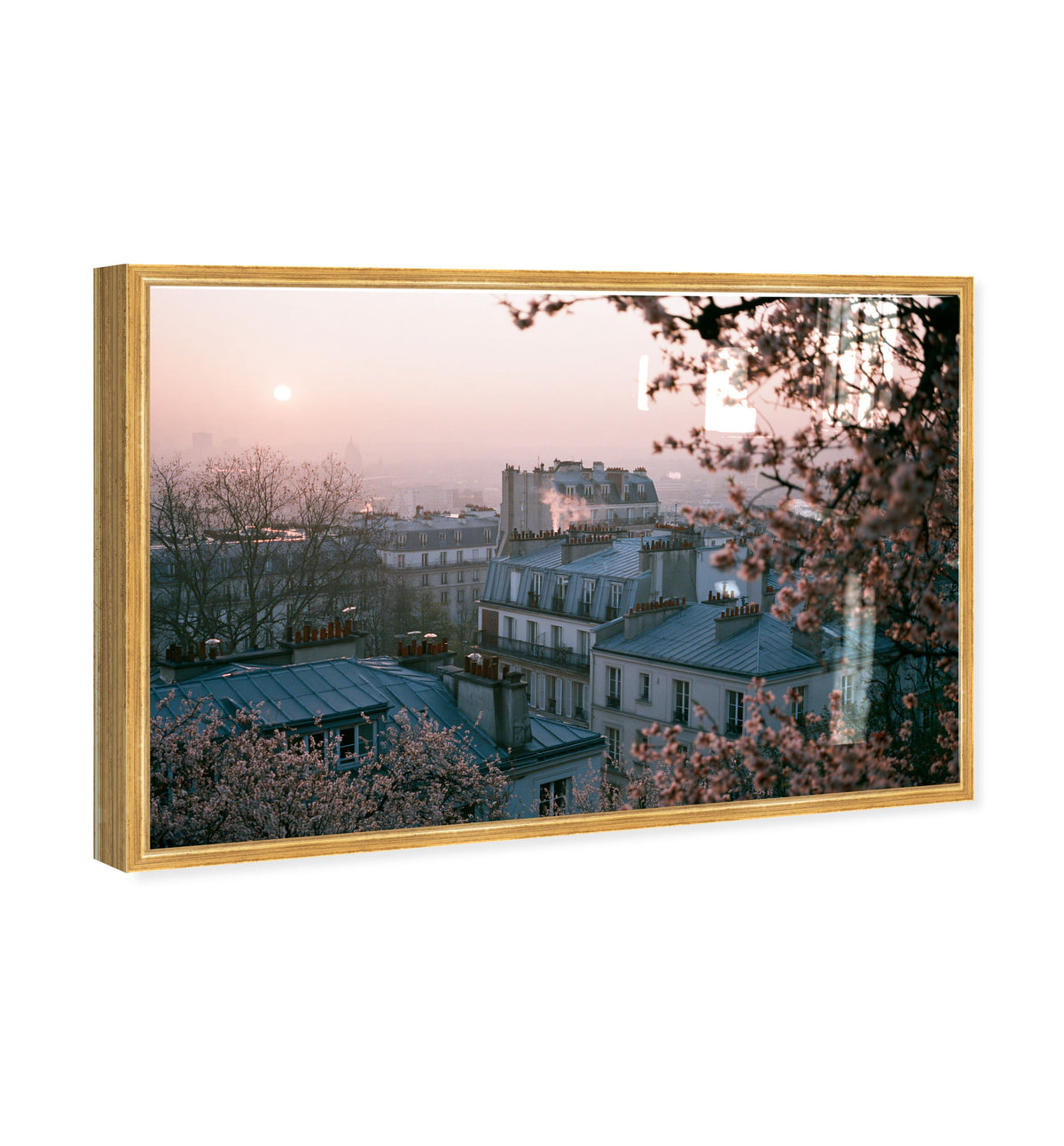 Blossom Framed Paris III