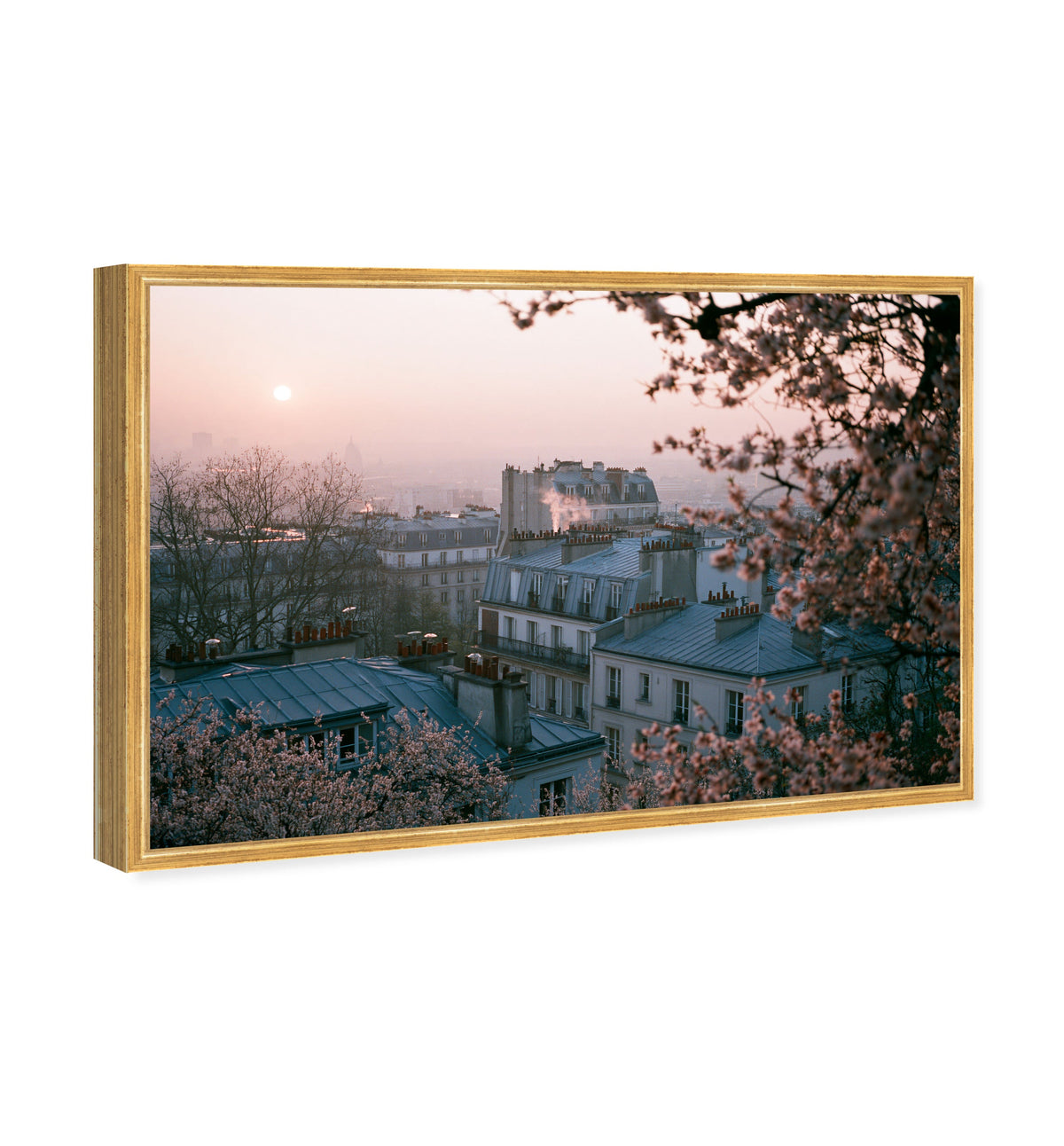 Blossom Framed Paris III