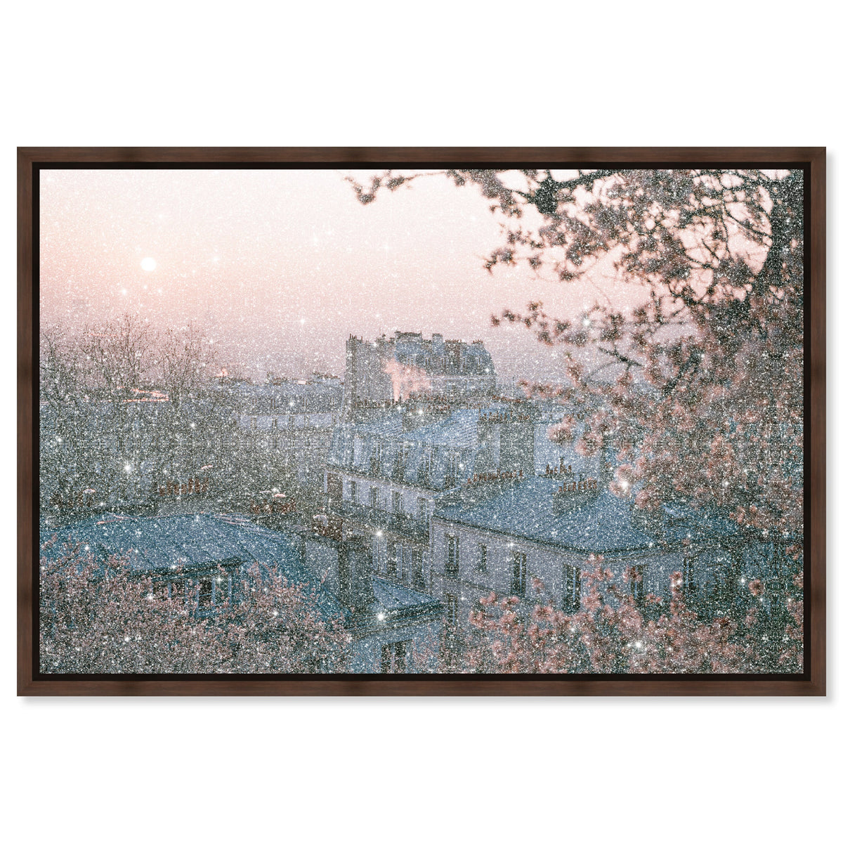 Blossom Framed Paris III