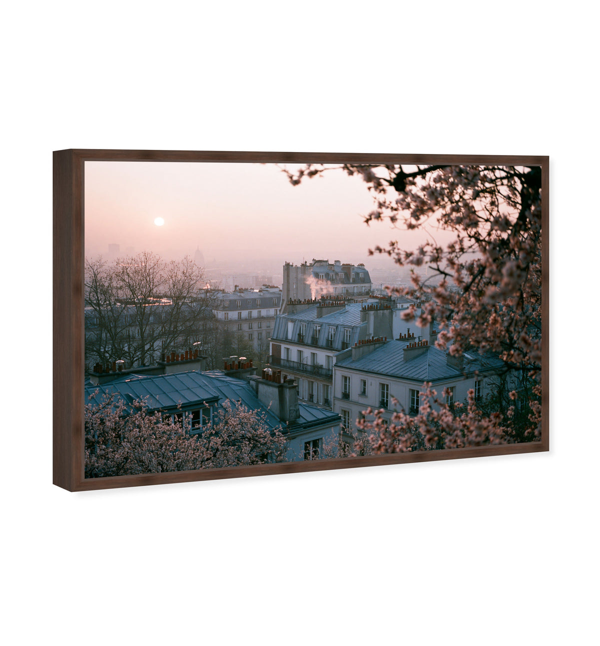 Blossom Framed Paris III