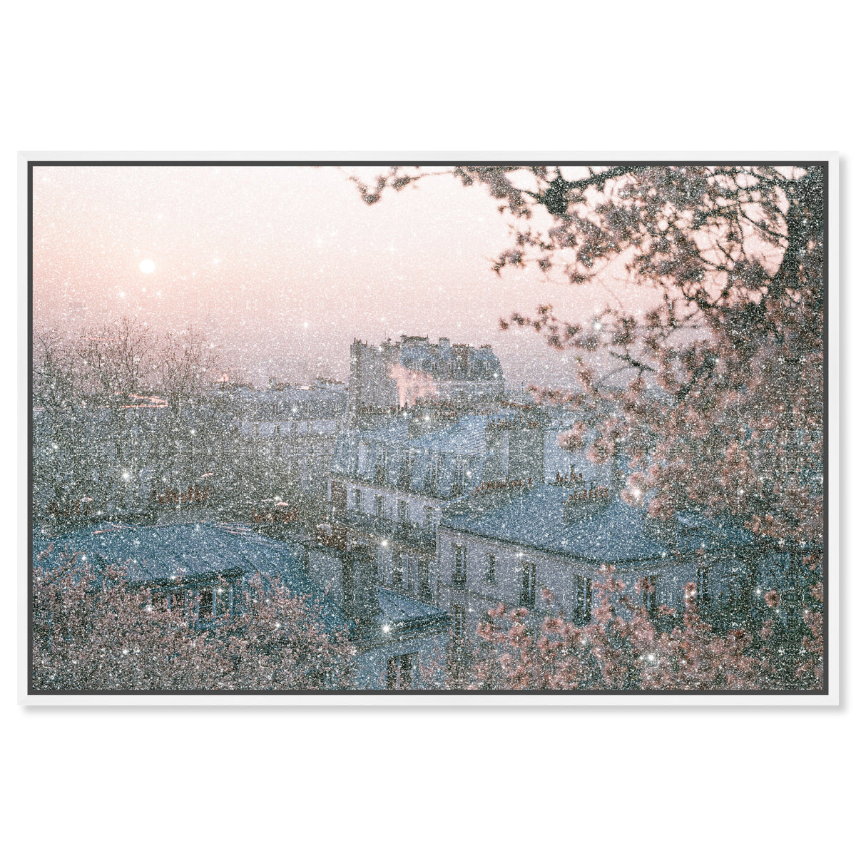 Blossom Framed Paris III