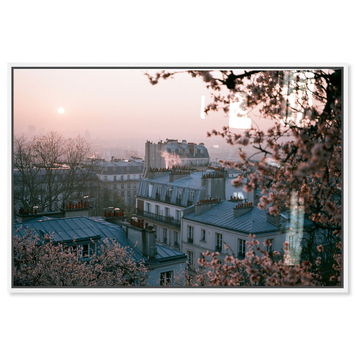 Blossom Framed Paris III