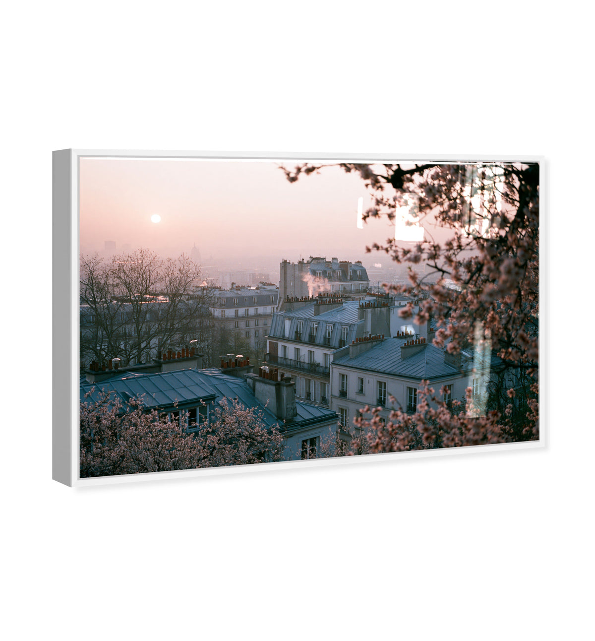 Blossom Framed Paris III