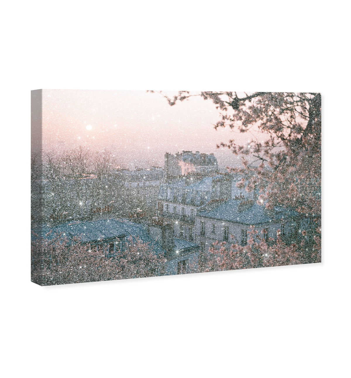 Blossom Framed Paris III