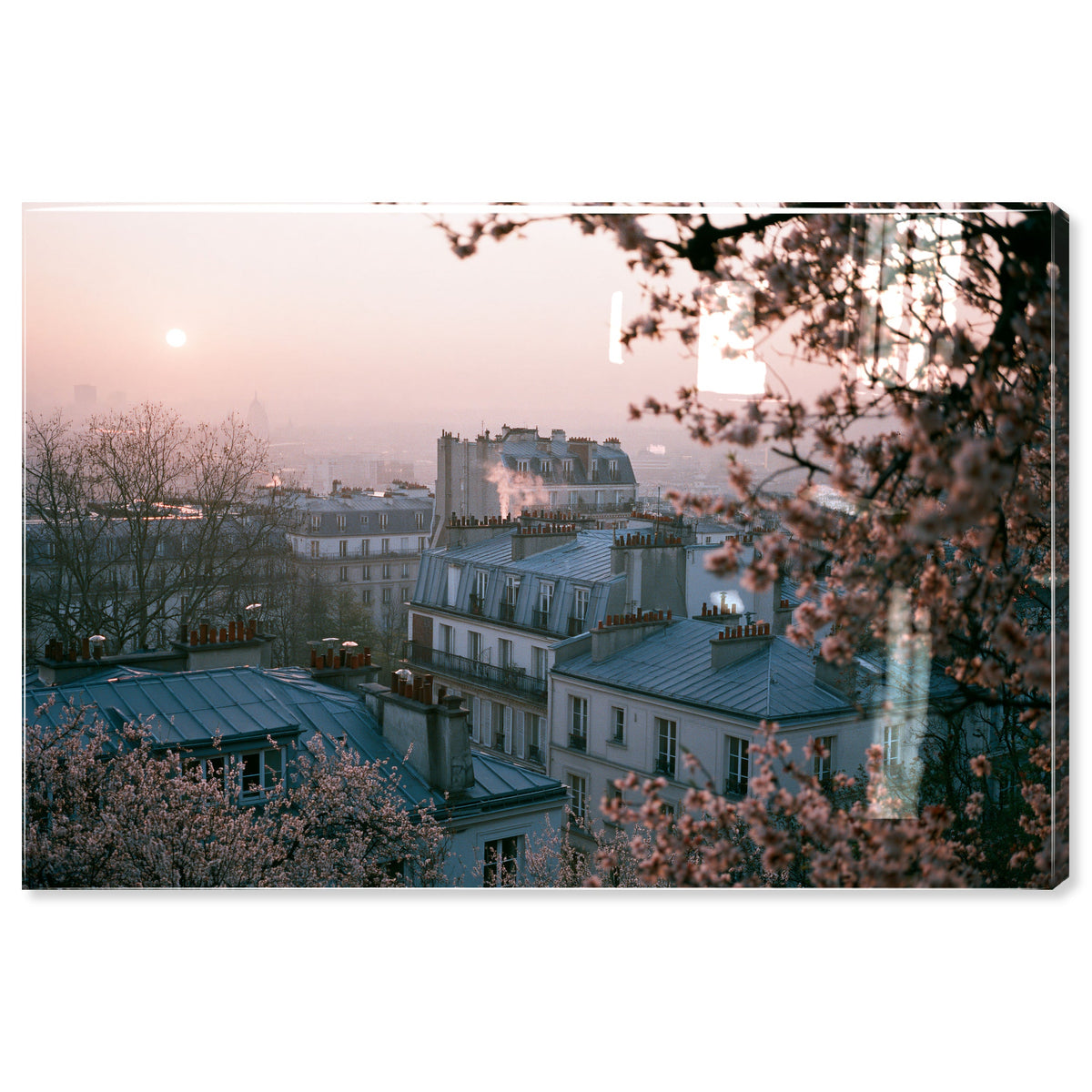 Blossom Framed Paris III
