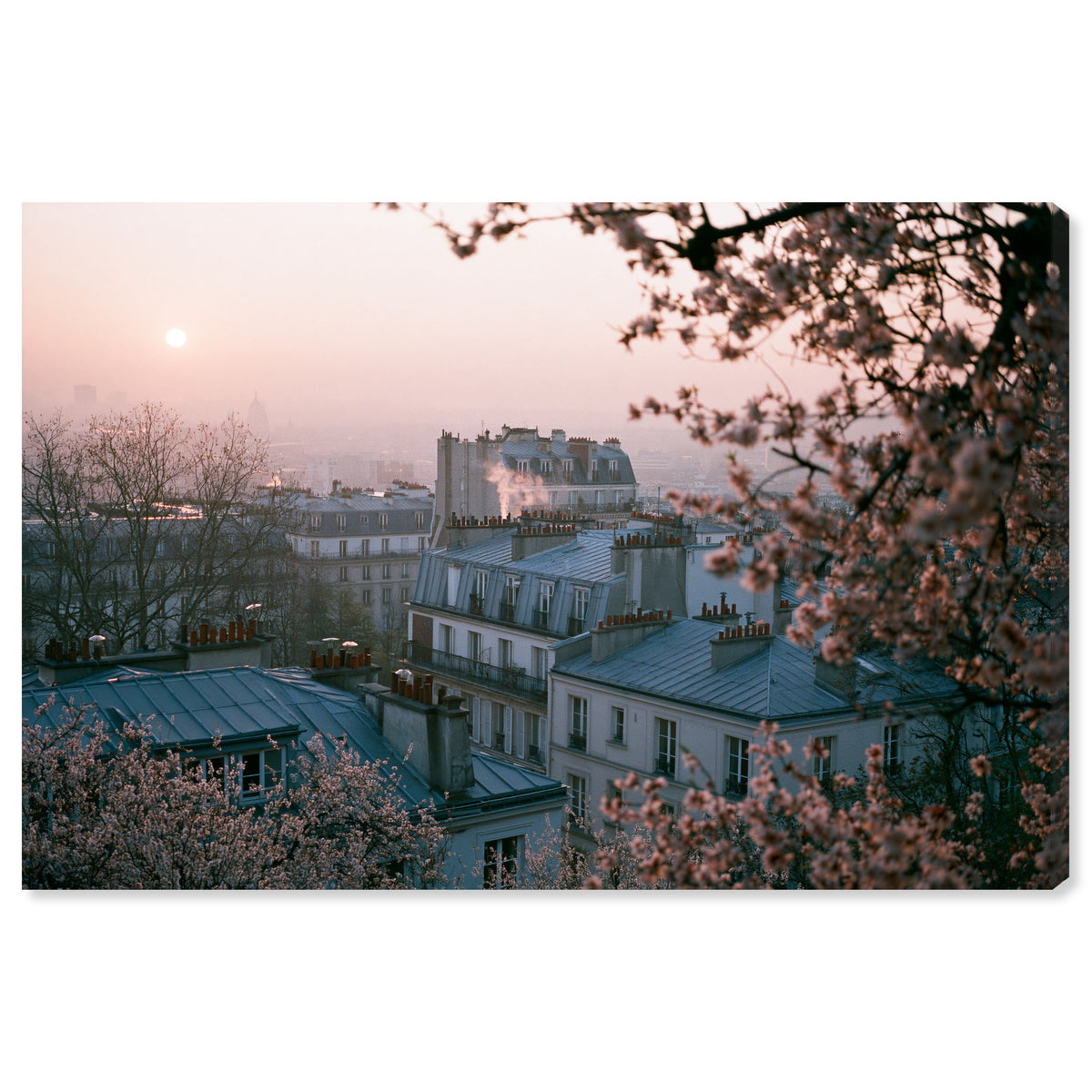 Blossom Framed Paris III