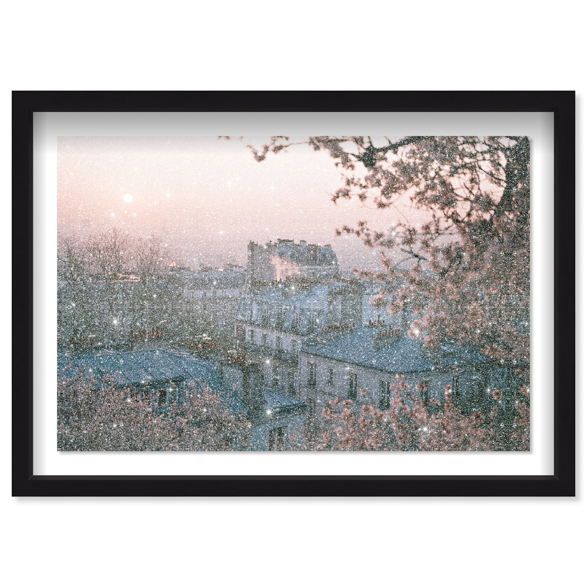Blossom Framed Paris III