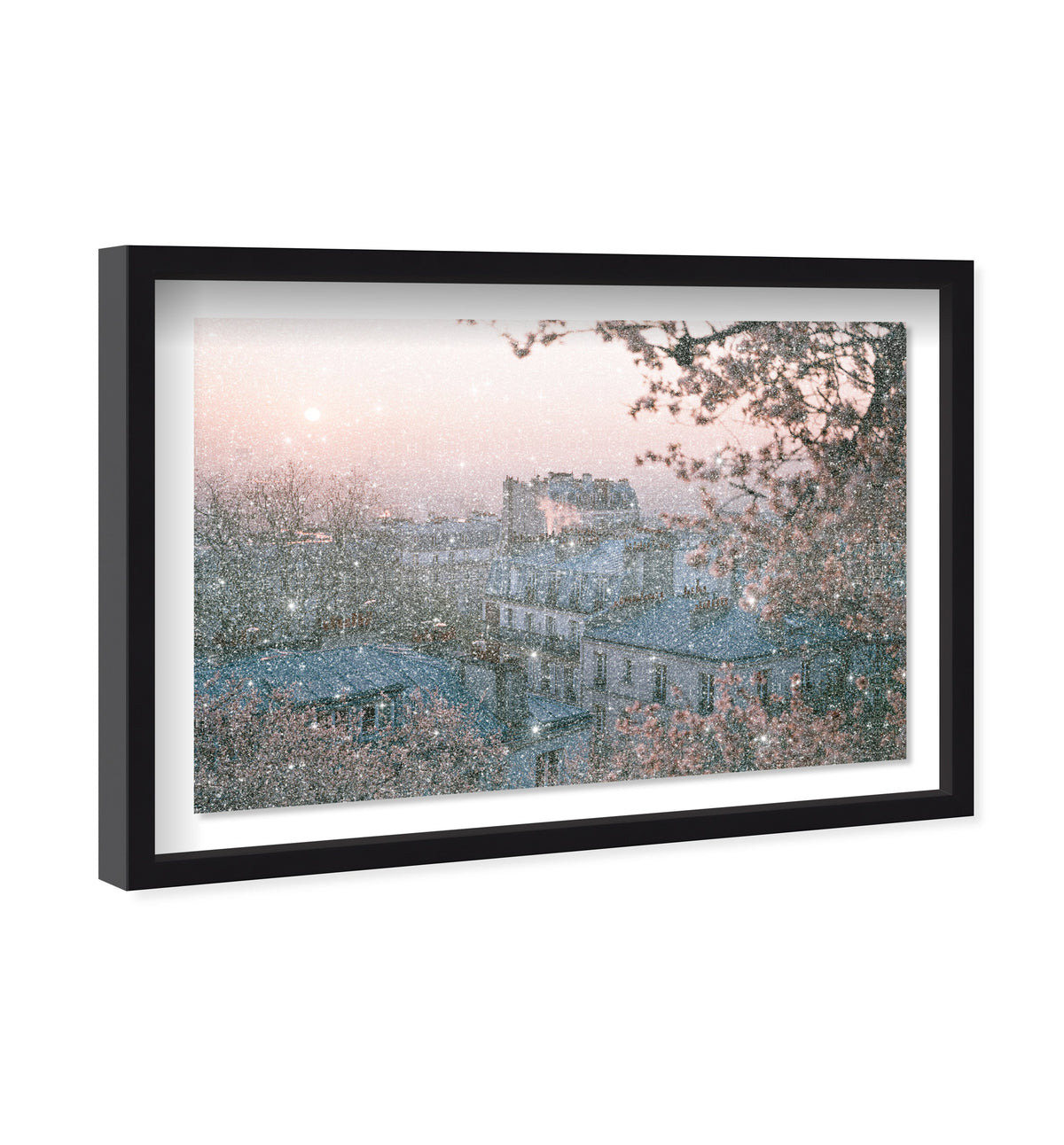 Blossom Framed Paris III