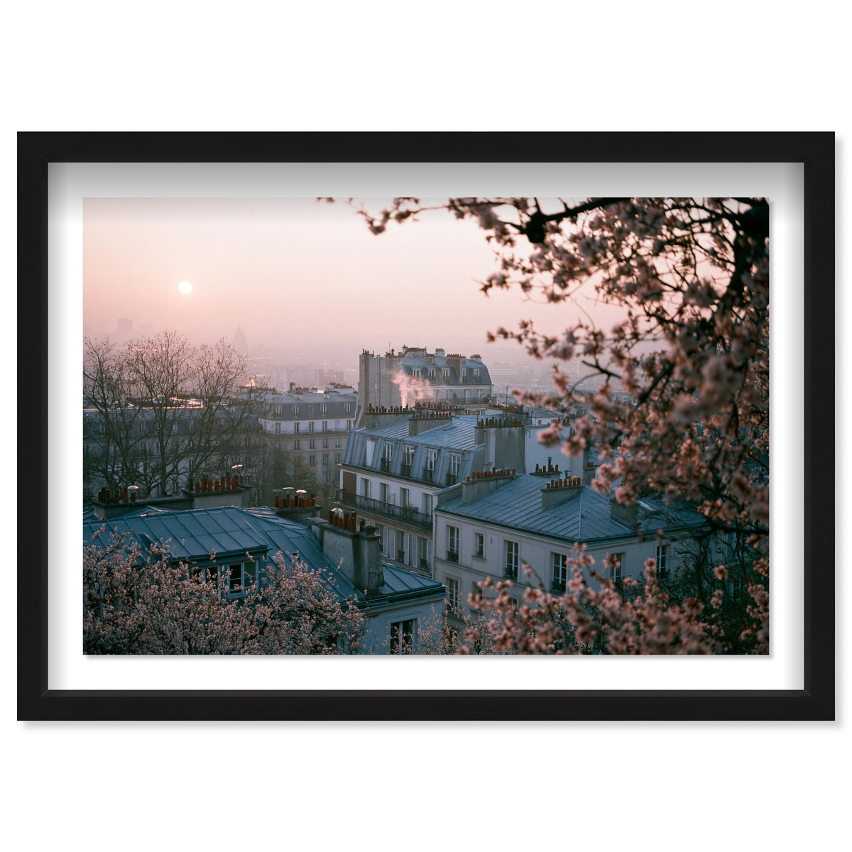 Blossom Framed Paris III
