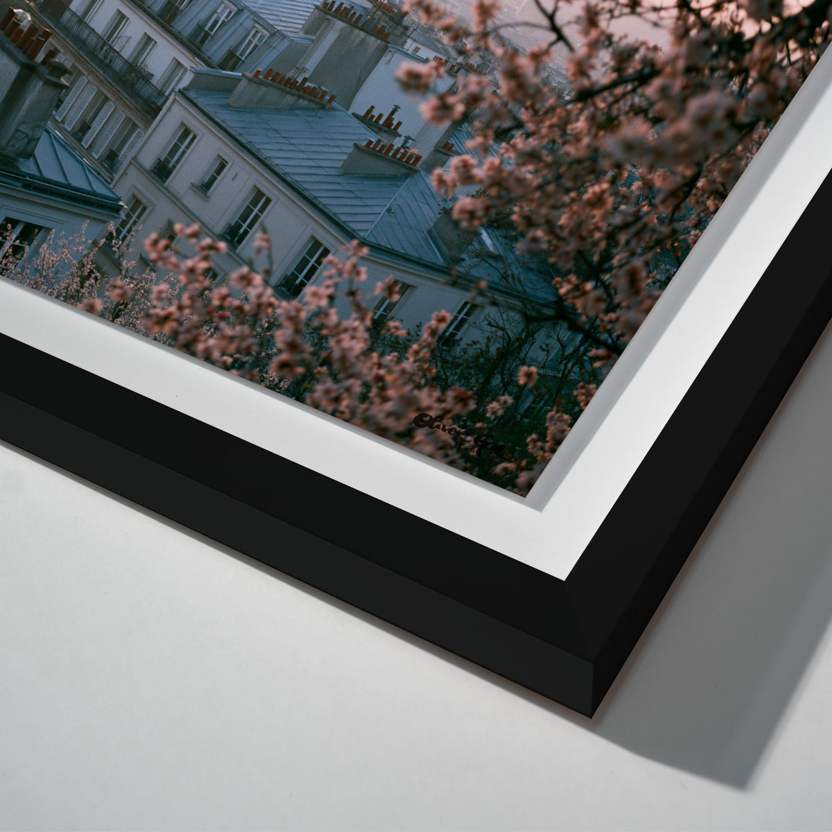 Blossom Framed Paris III