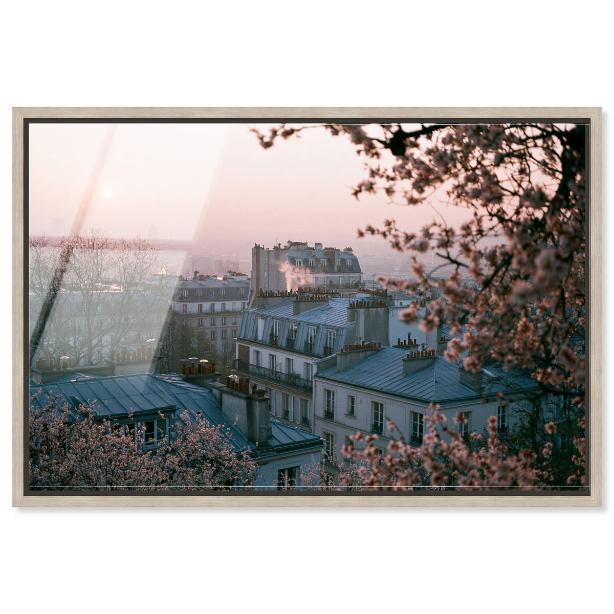 Blossom Framed Paris III
