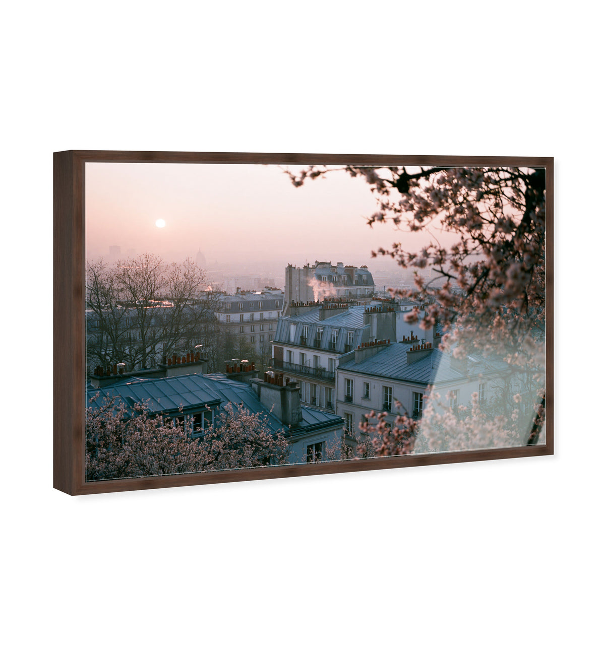 Blossom Framed Paris III