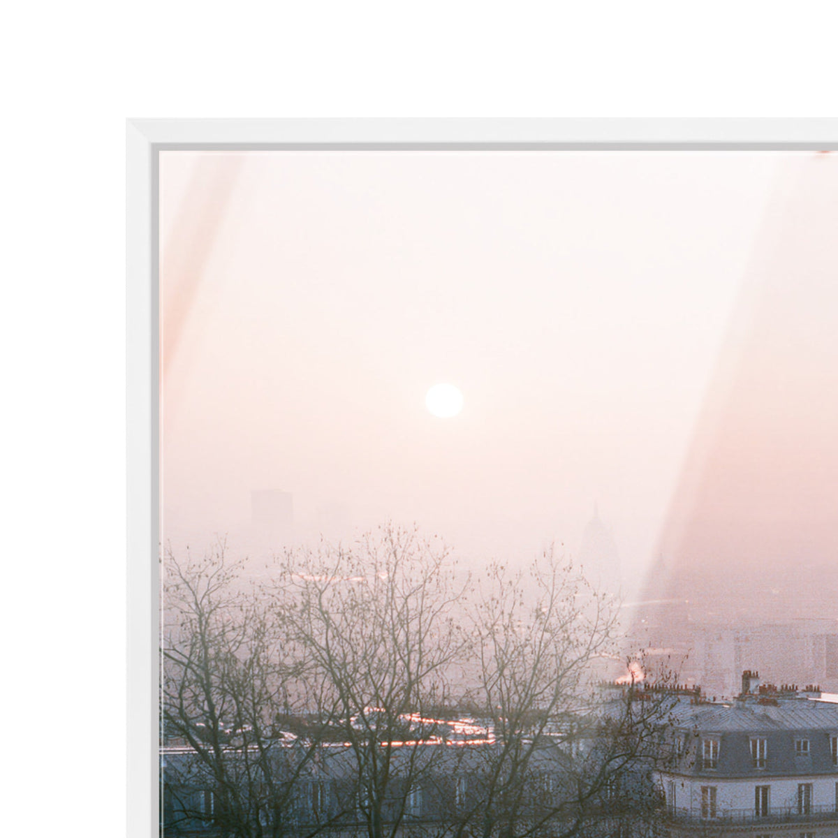 Blossom Framed Paris III