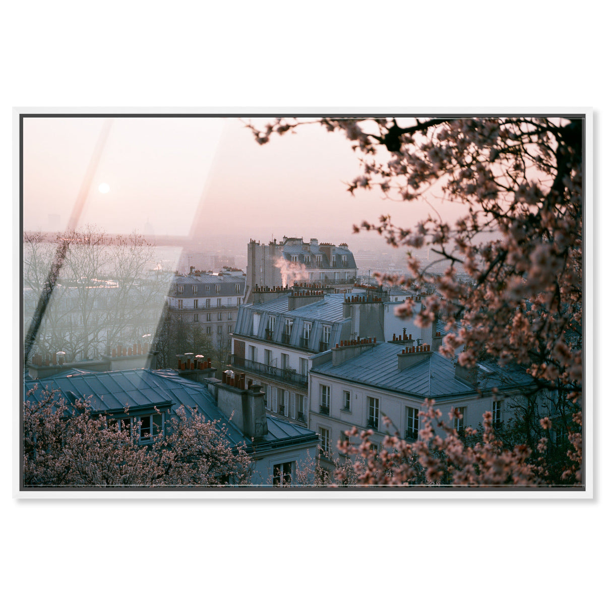 Blossom Framed Paris III