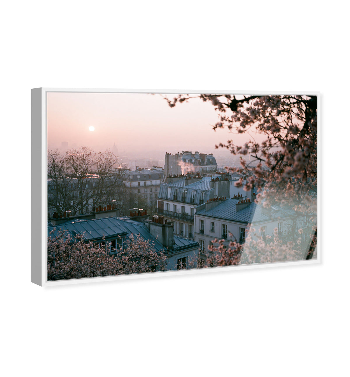 Blossom Framed Paris III