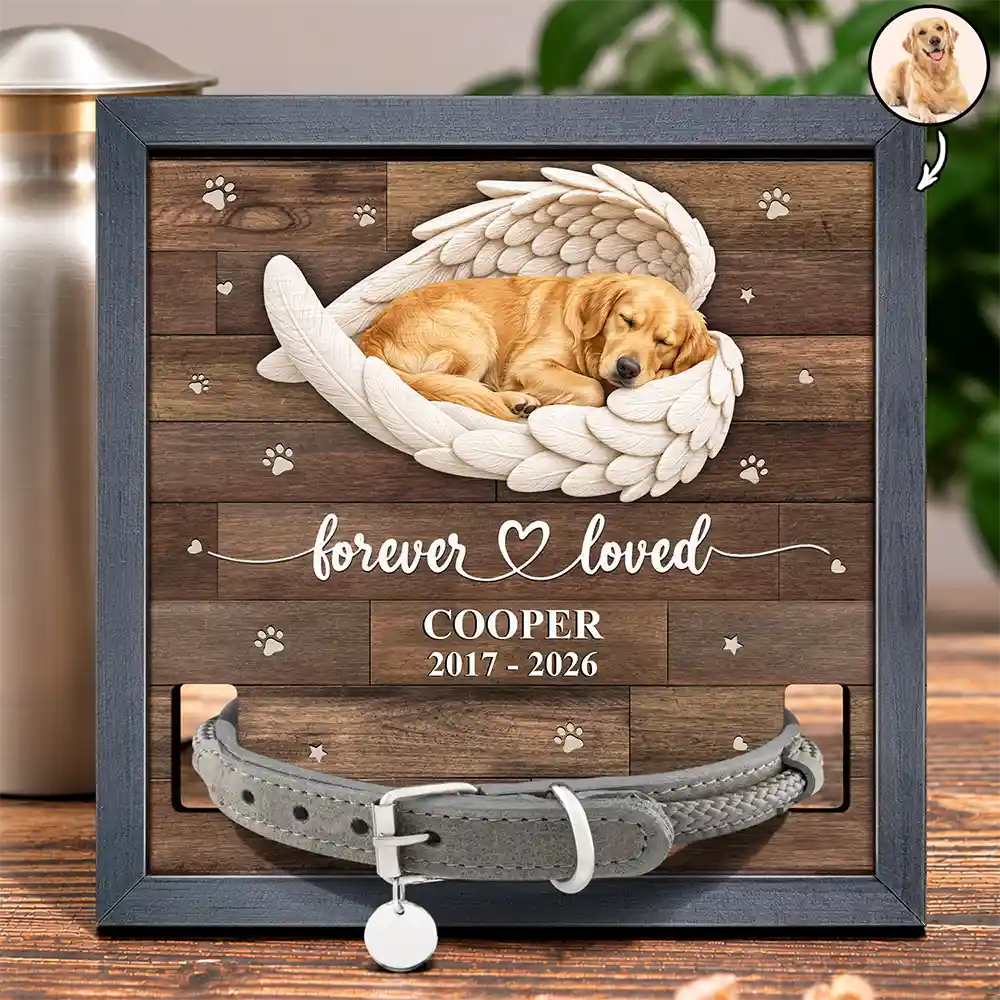 Custom Photo Sleeping Angel Forever Loved Memorial Dog Cat - Personalized Pet Loss Sign, Collar Frame
