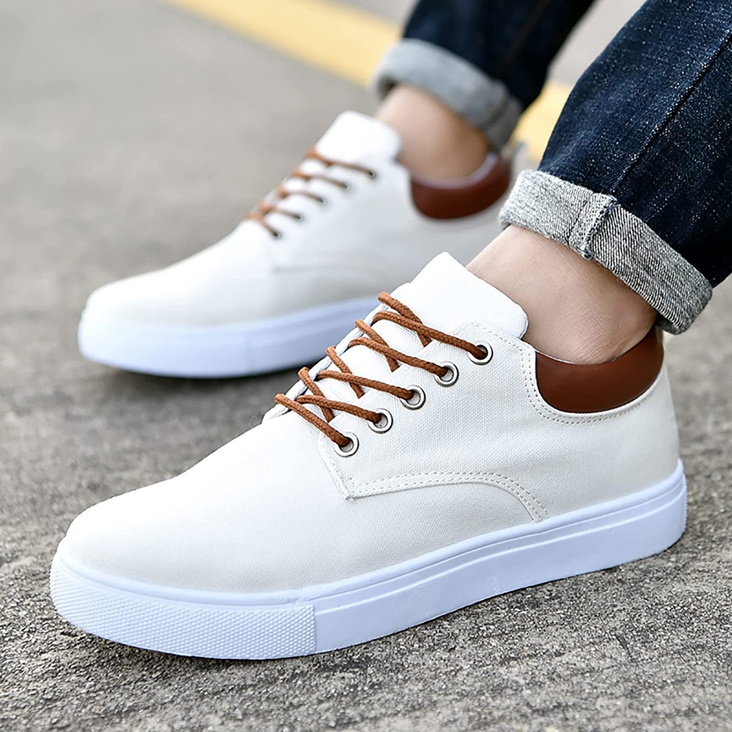 Danny Canvas Sneakers for Men