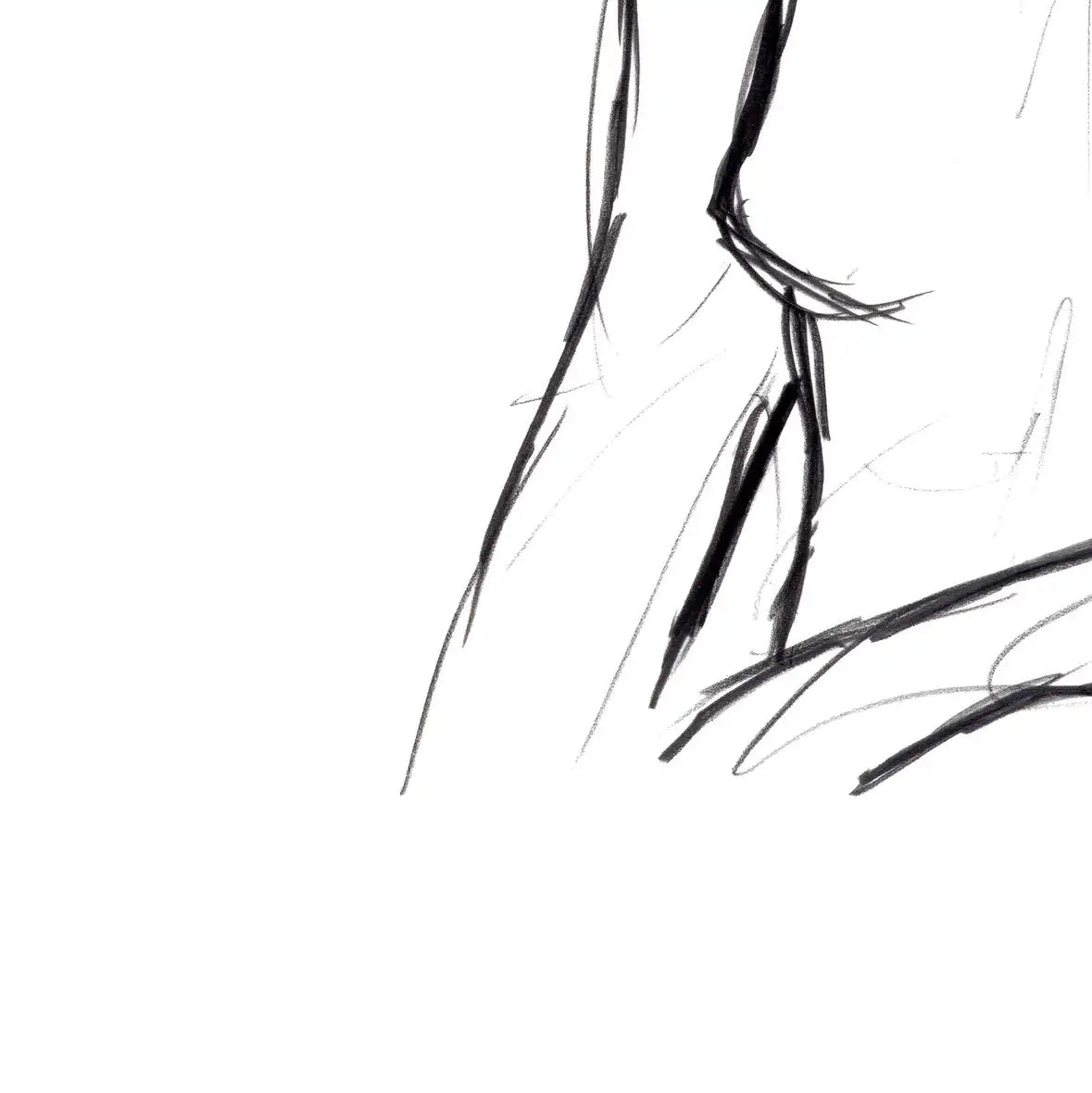 Female Torso Sketch Wall Art