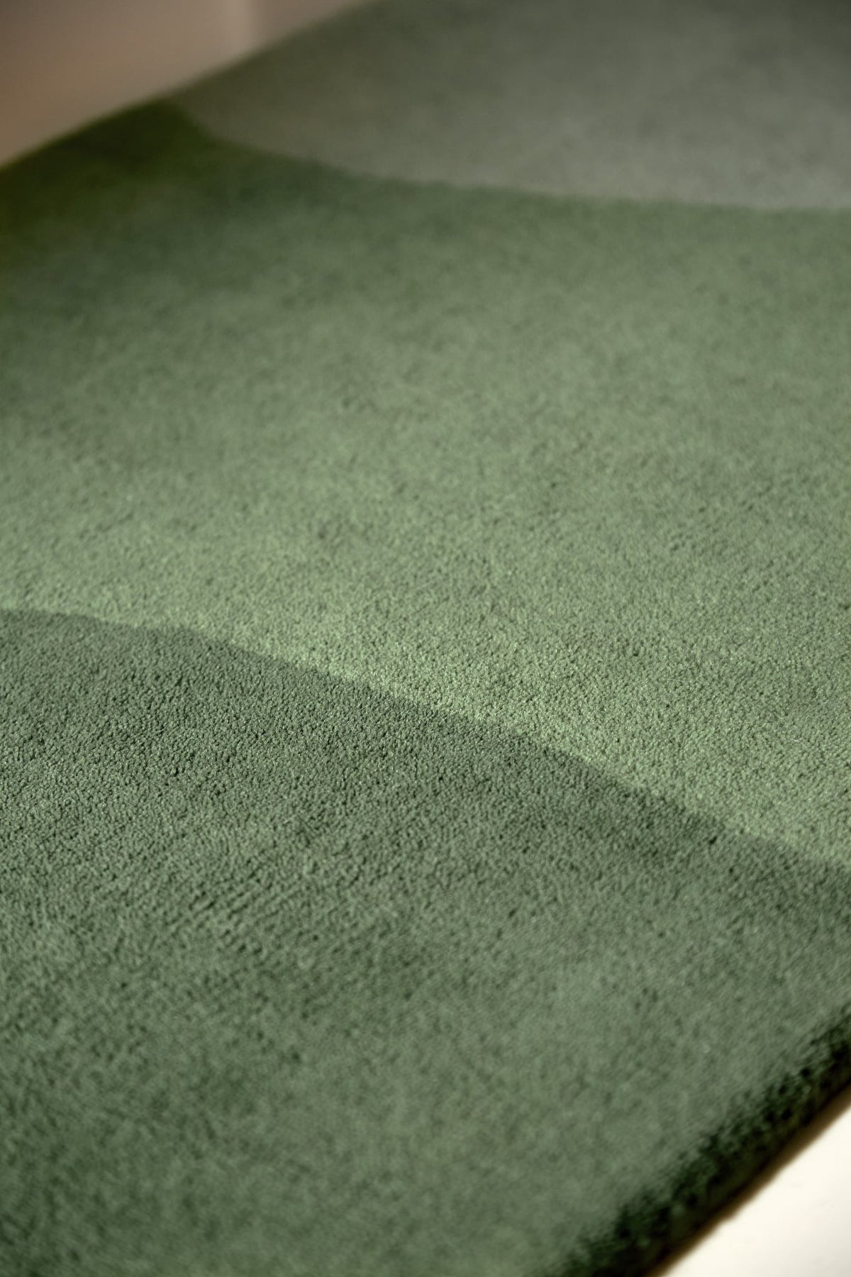 Brink and Campman Sedimetary Sedimentary Pine Multi Area Rug by Harlequin