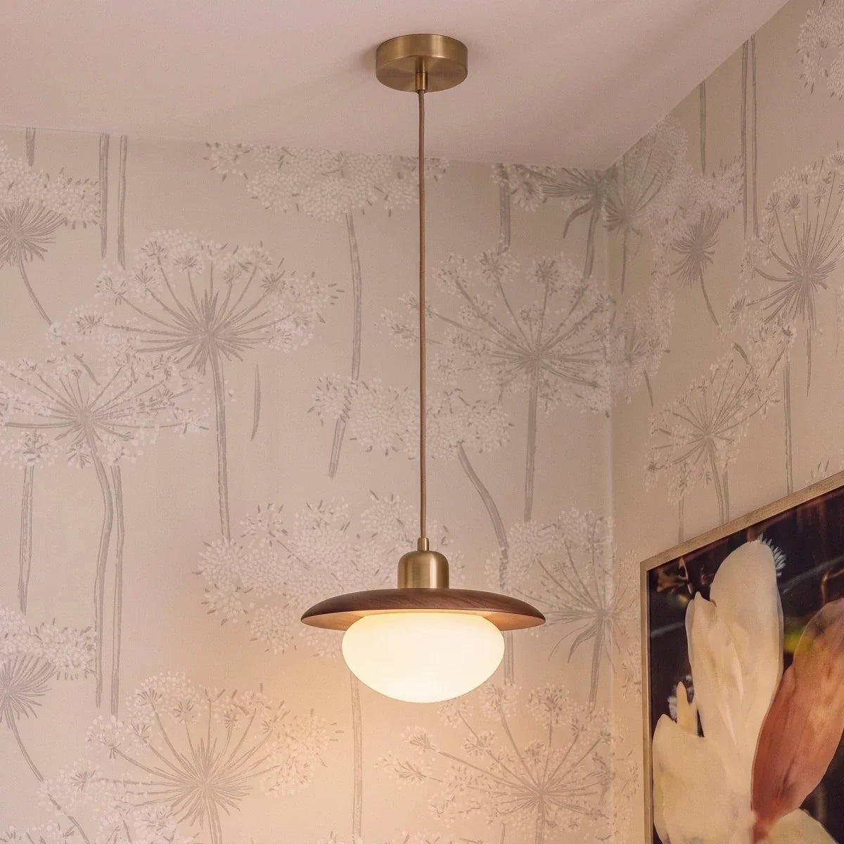 Velaro Pendant Light