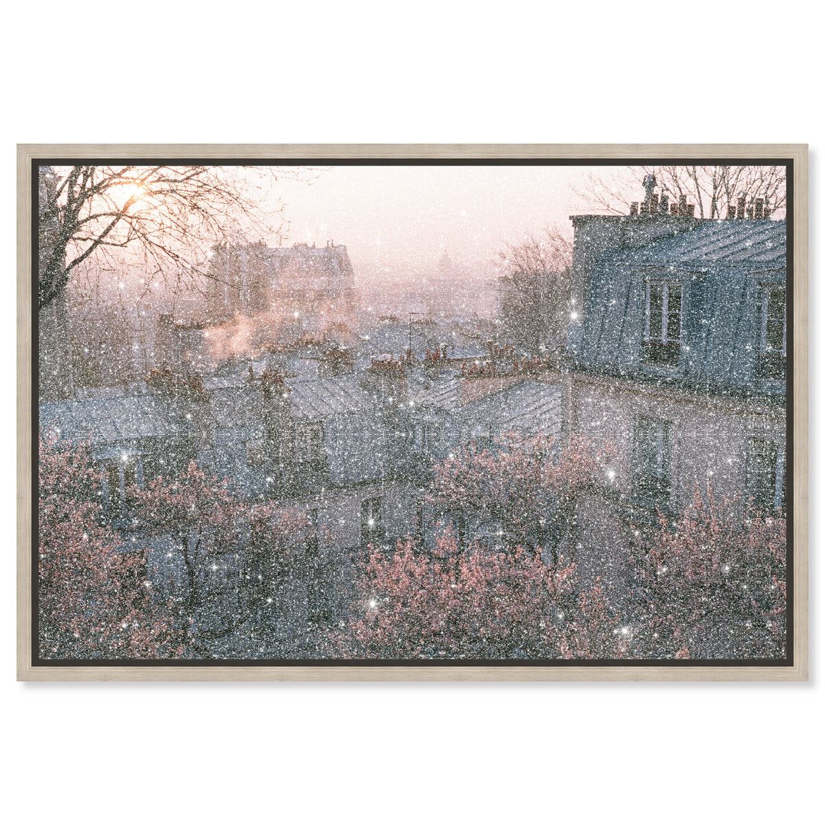 Blossom Framed Paris IV