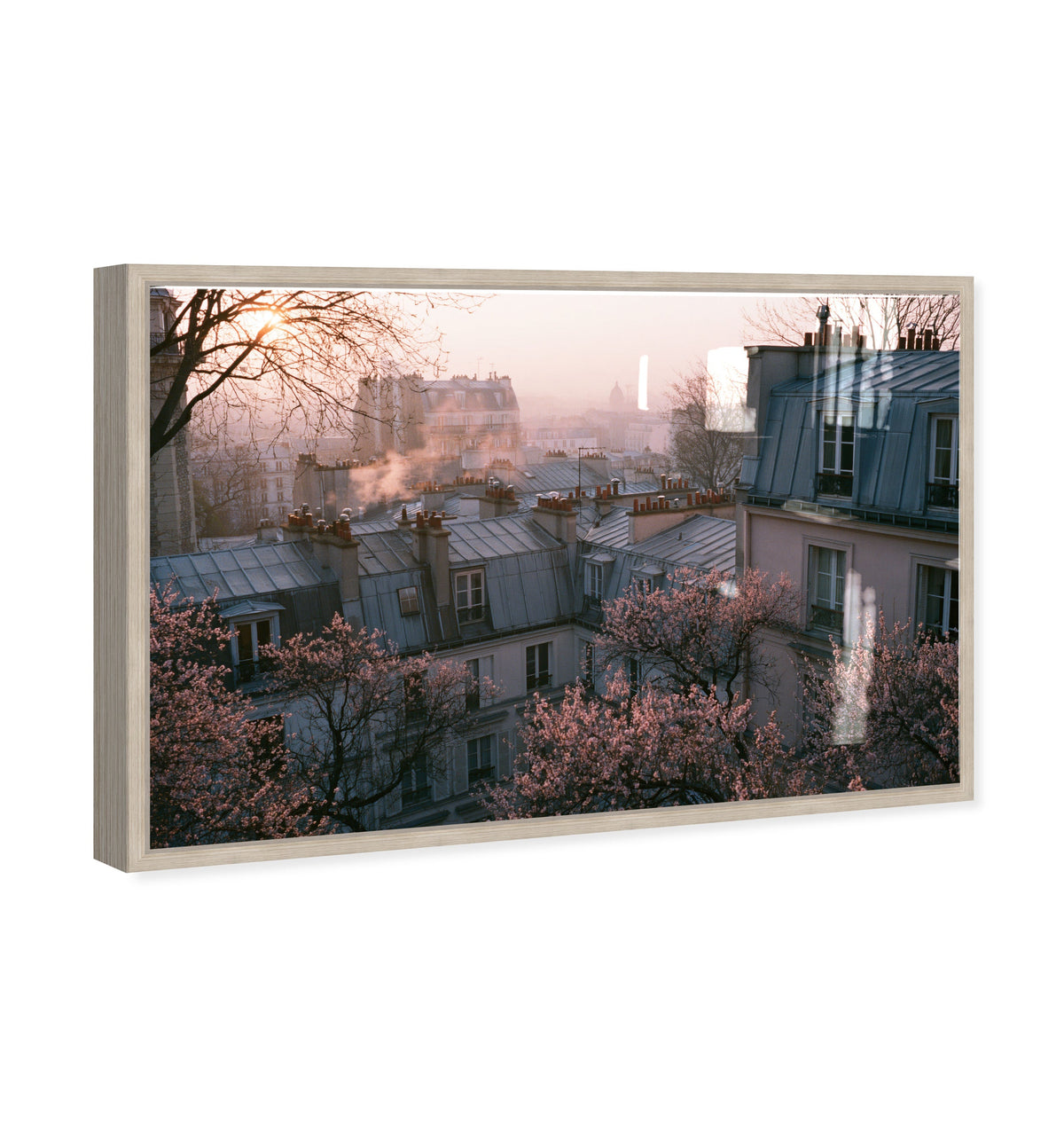 Blossom Framed Paris IV