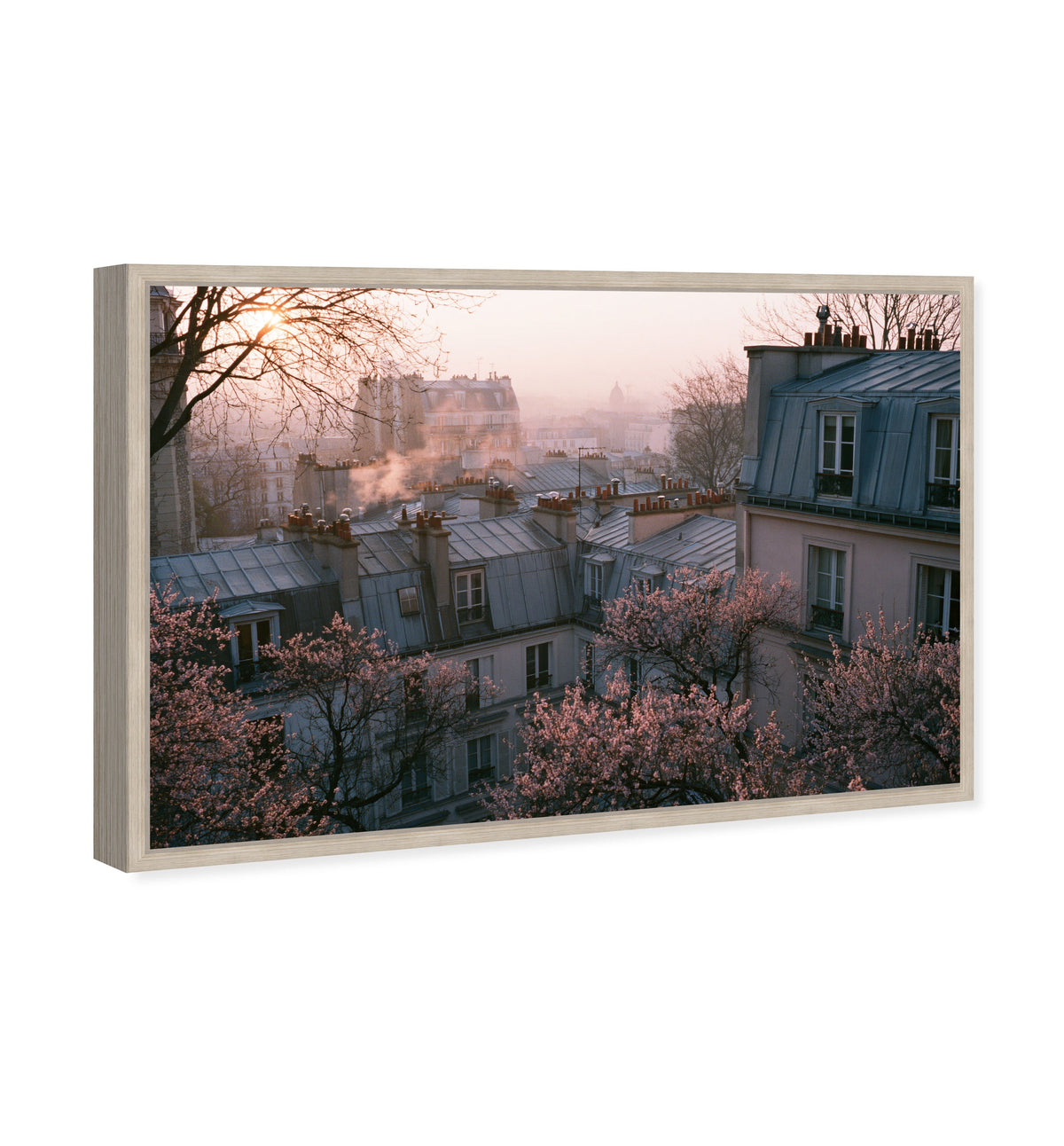 Blossom Framed Paris IV