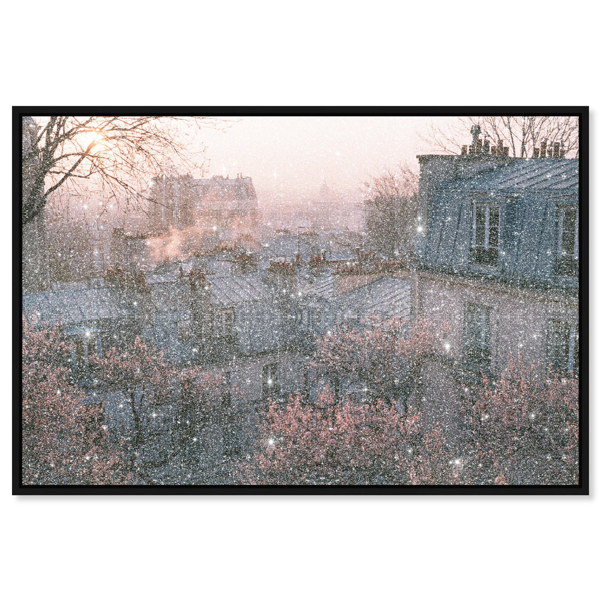 Blossom Framed Paris IV