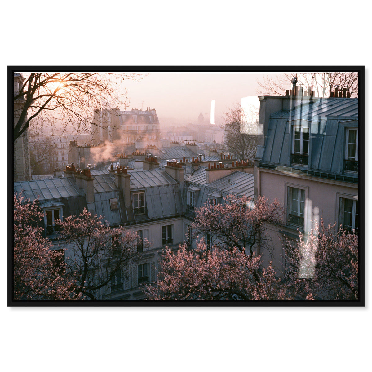 Blossom Framed Paris IV