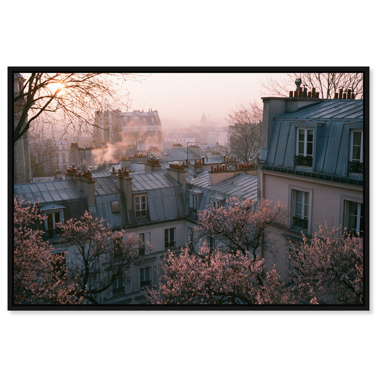 Blossom Framed Paris IV