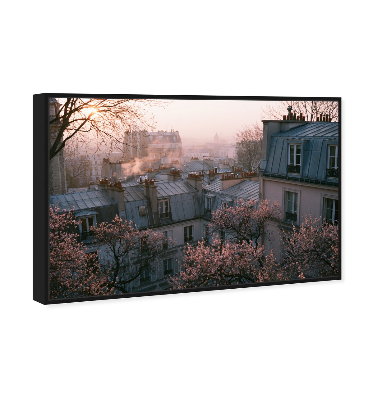 Blossom Framed Paris IV